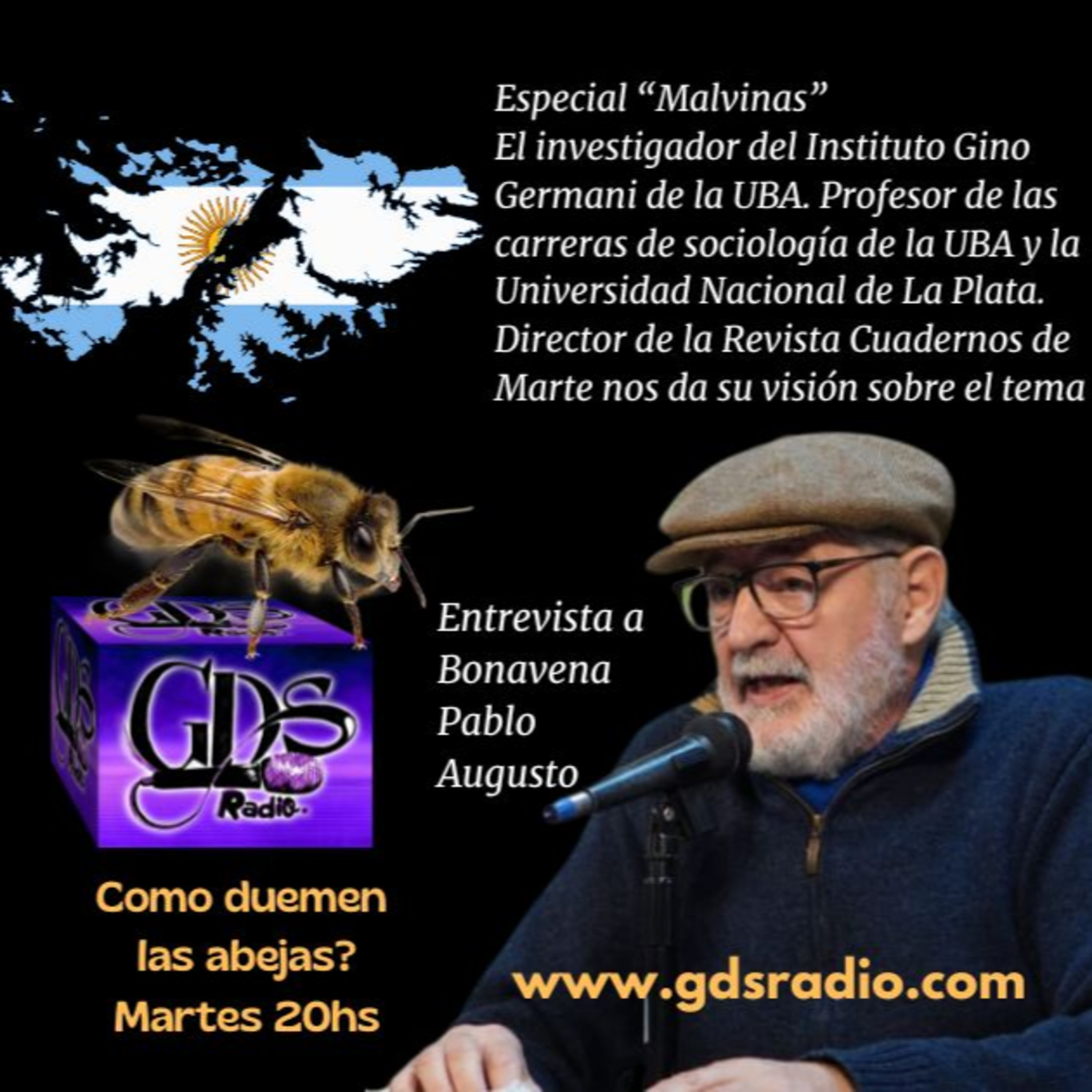 ¿Cómo duermen las abejas? Hoy: Malvinas en la visión de Pablo Bonavena en 2 de abril de 2025 episode artwork