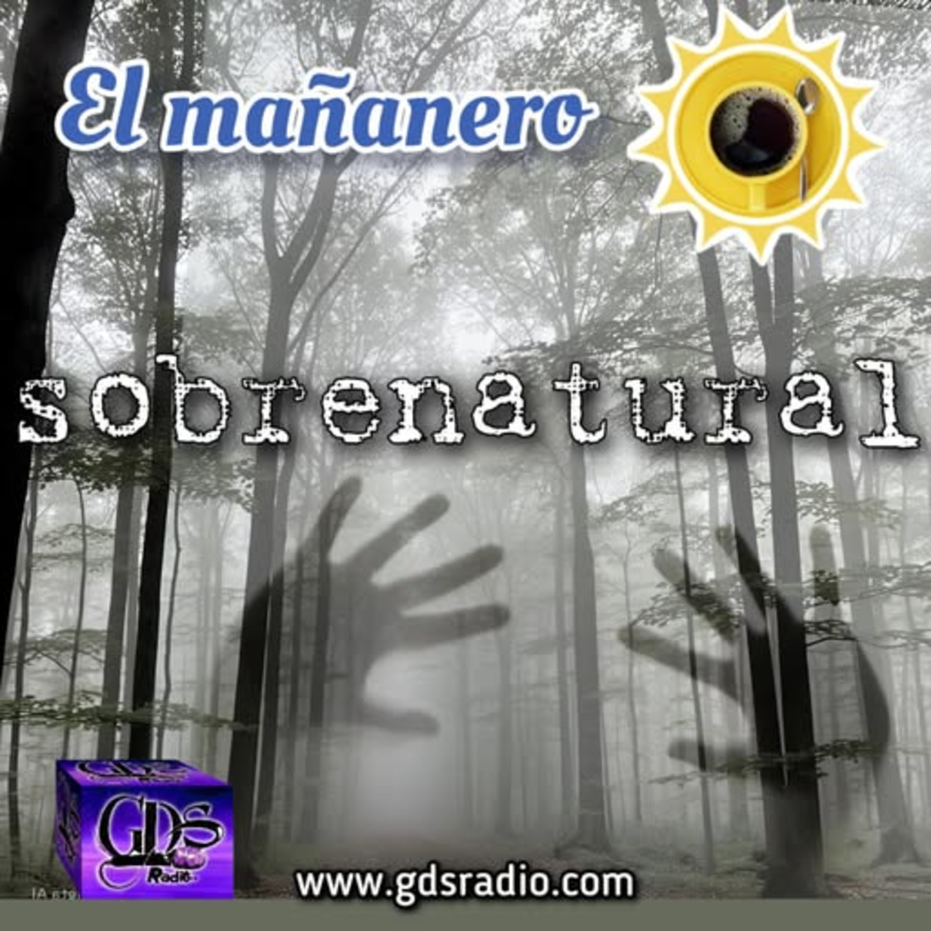 GDS Radio Mar del Plata Podcast