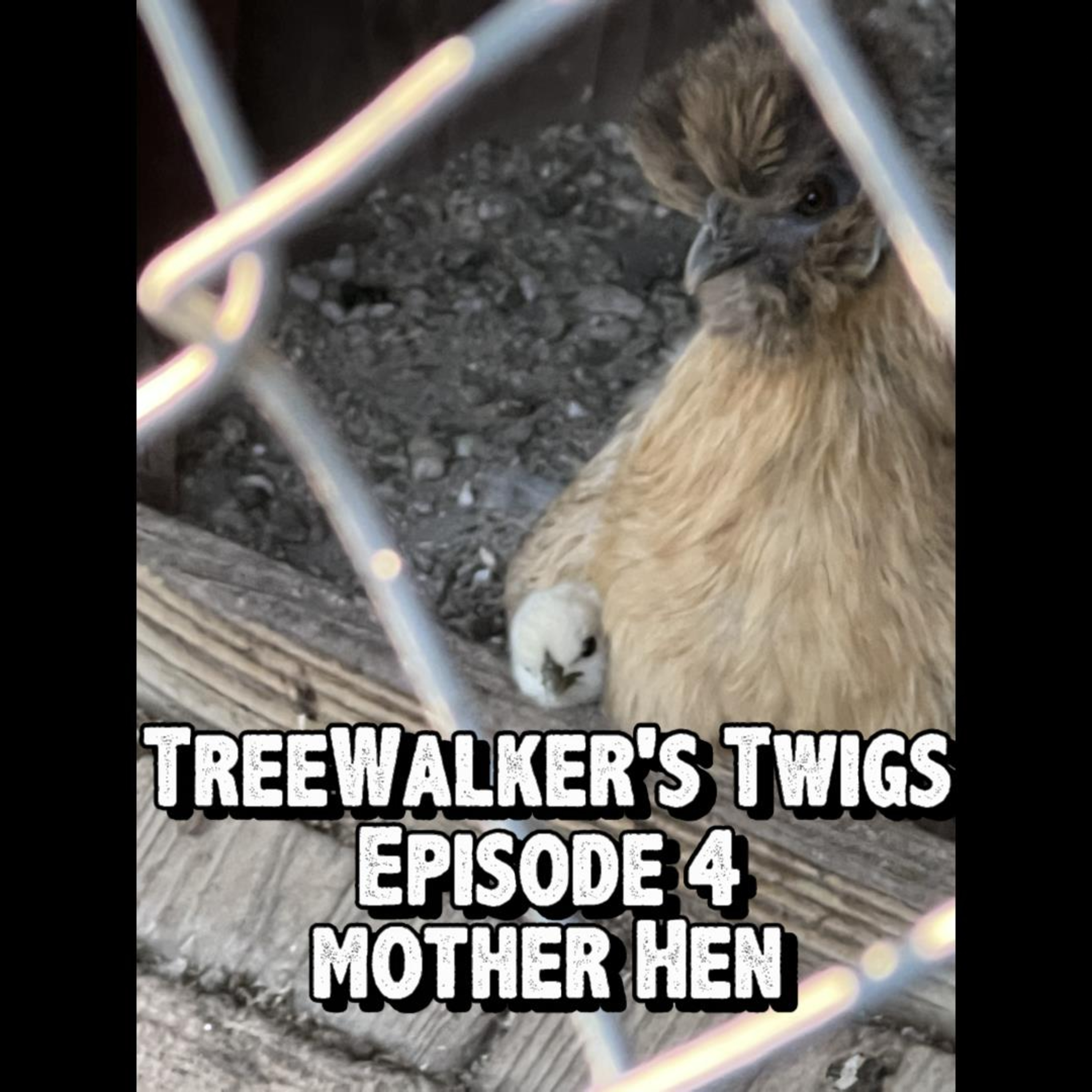 Treewalker Talks