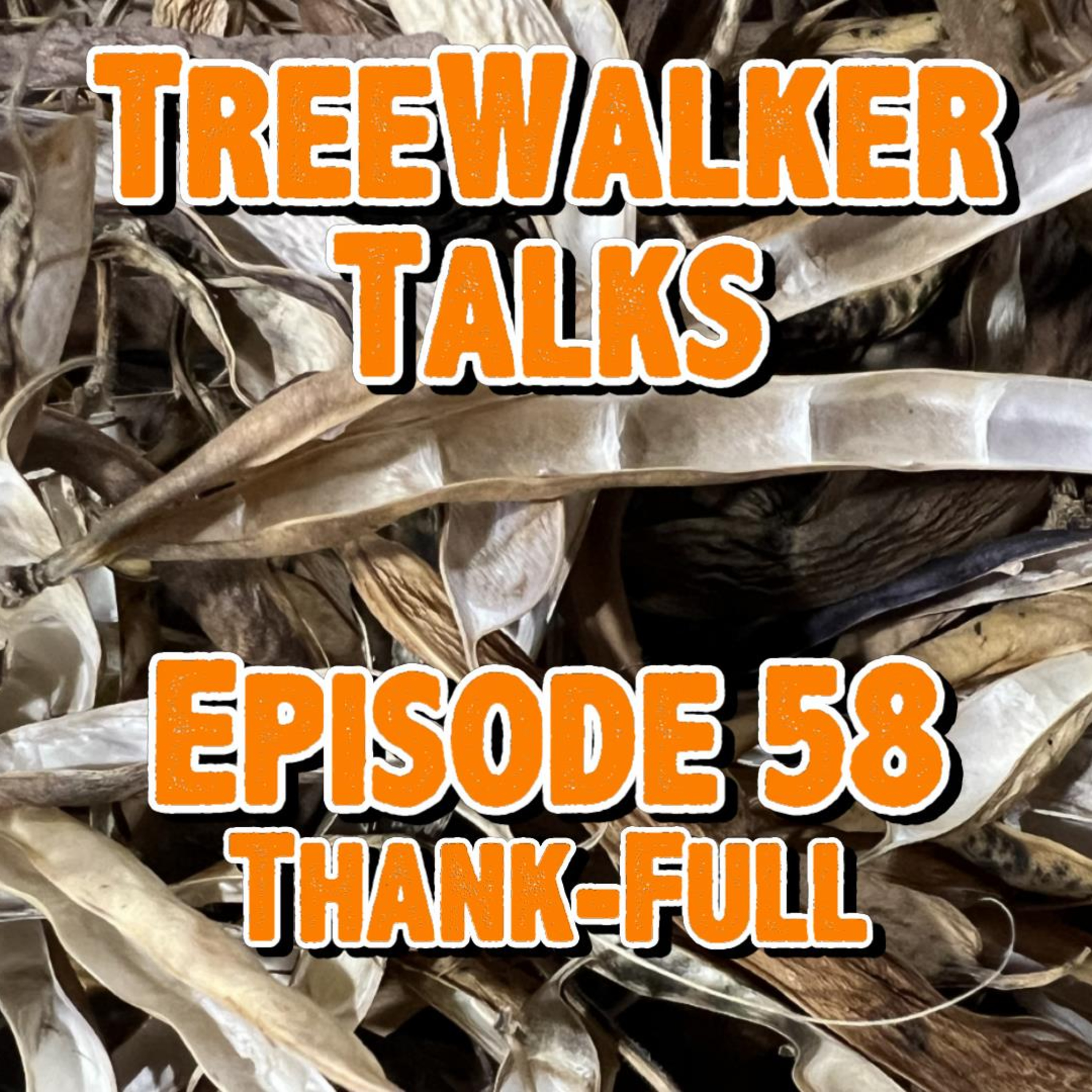 Treewalker Talks