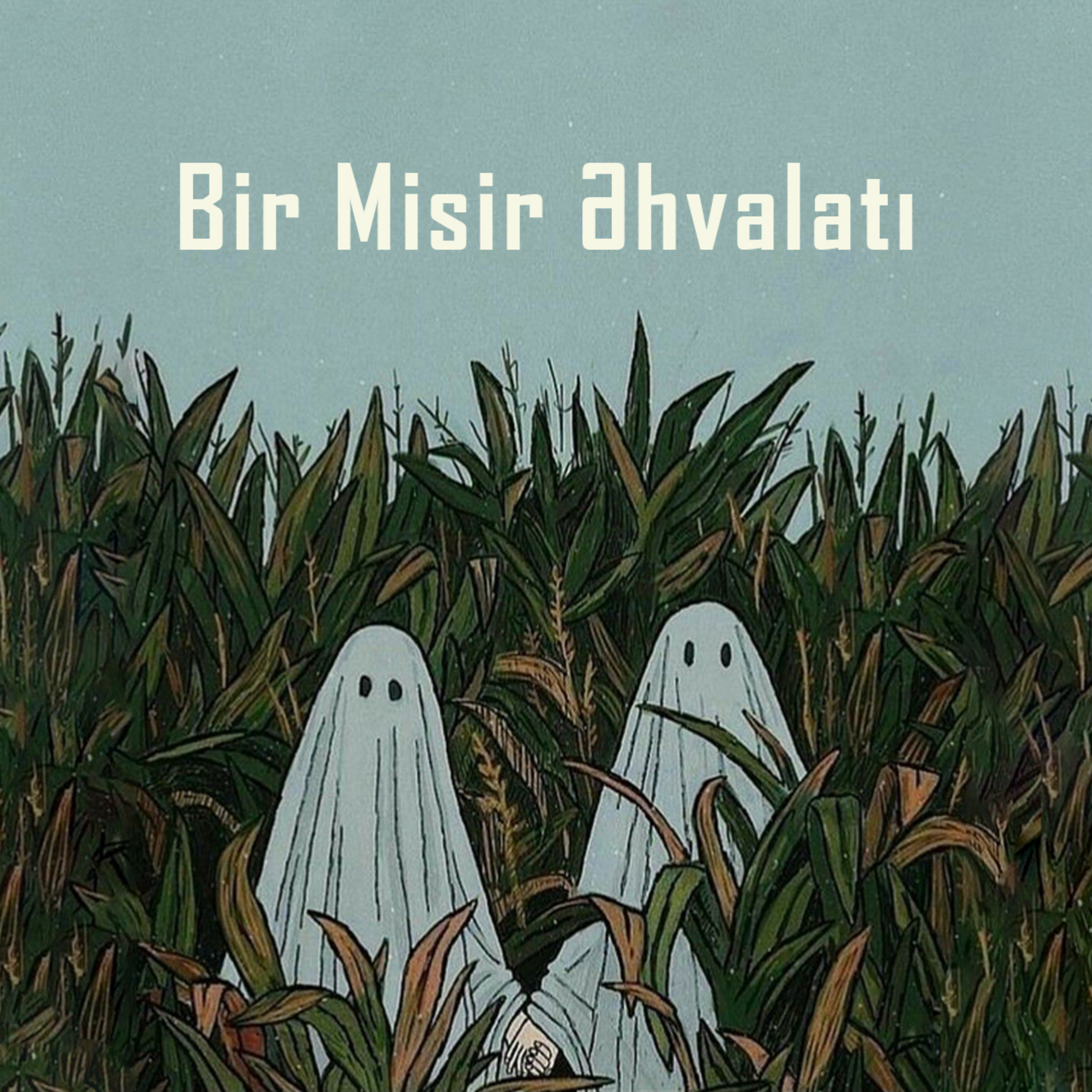 2. Bir Misir əhvalatı