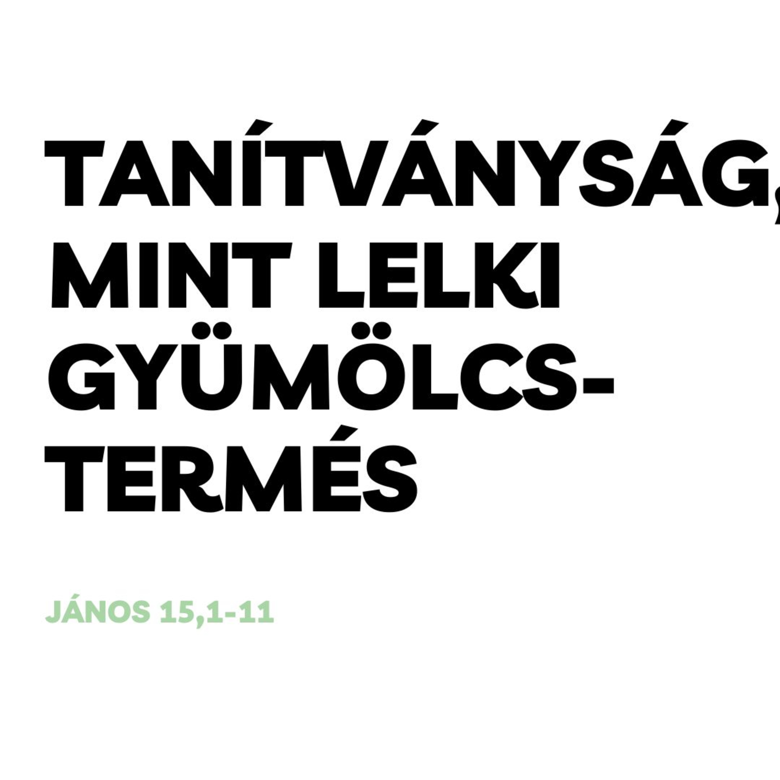2024.01.14. Tanítványság, mint lelki gyümölcstermés – János 15,1-11 episode artwork