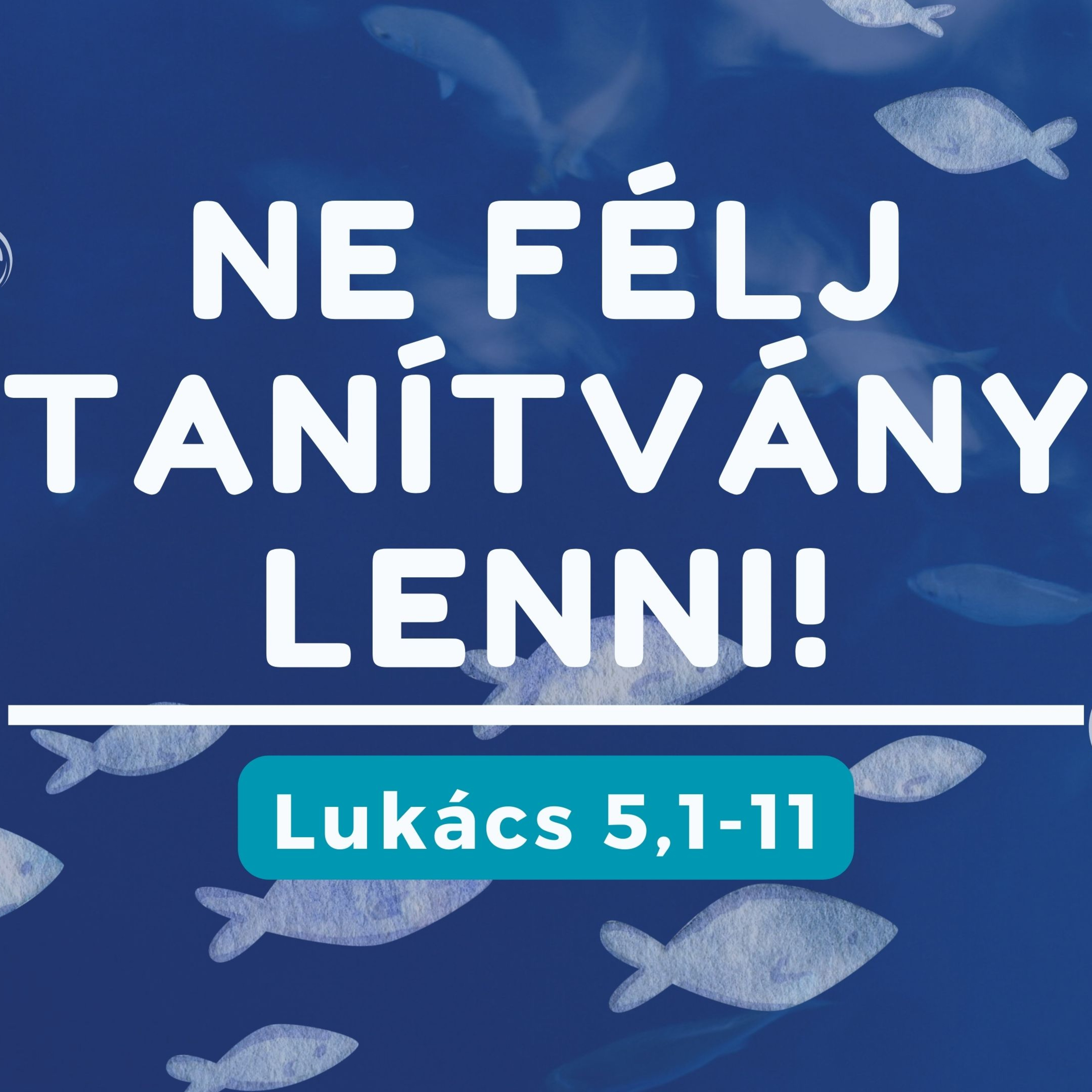 Szigetszentmiklósi Baptista Gyülekezet