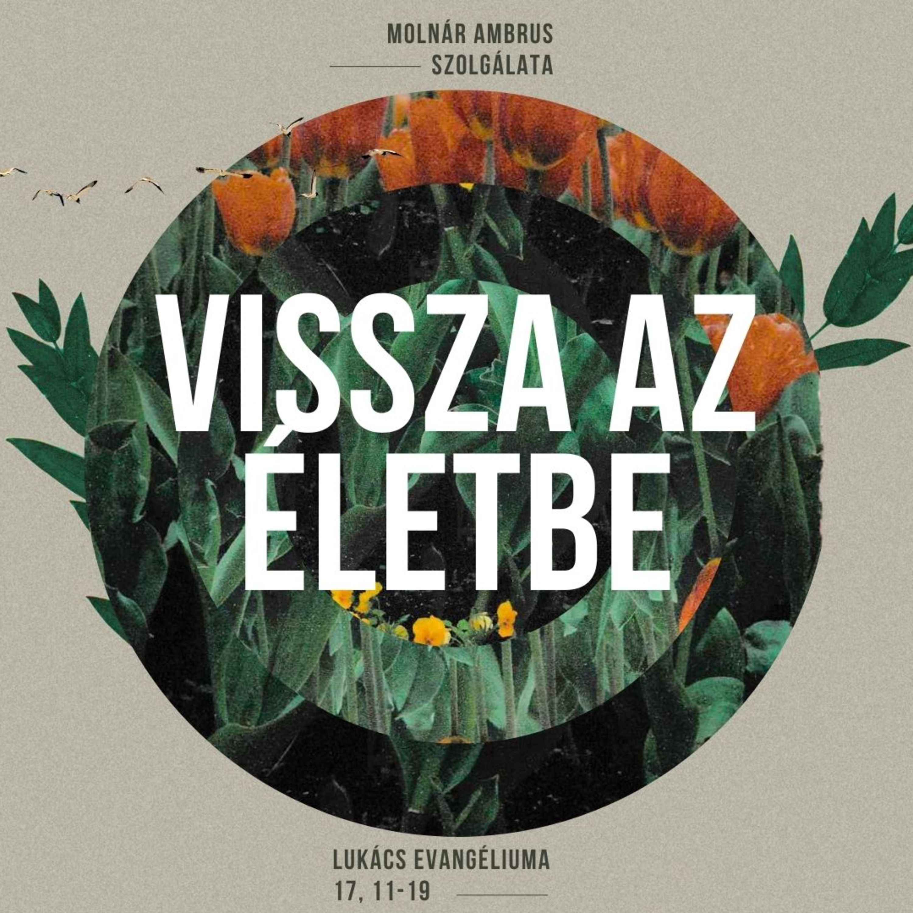 2024.11.24. Vissza az életbe - Lukács evangéliuma 17, 12-19 episode artwork