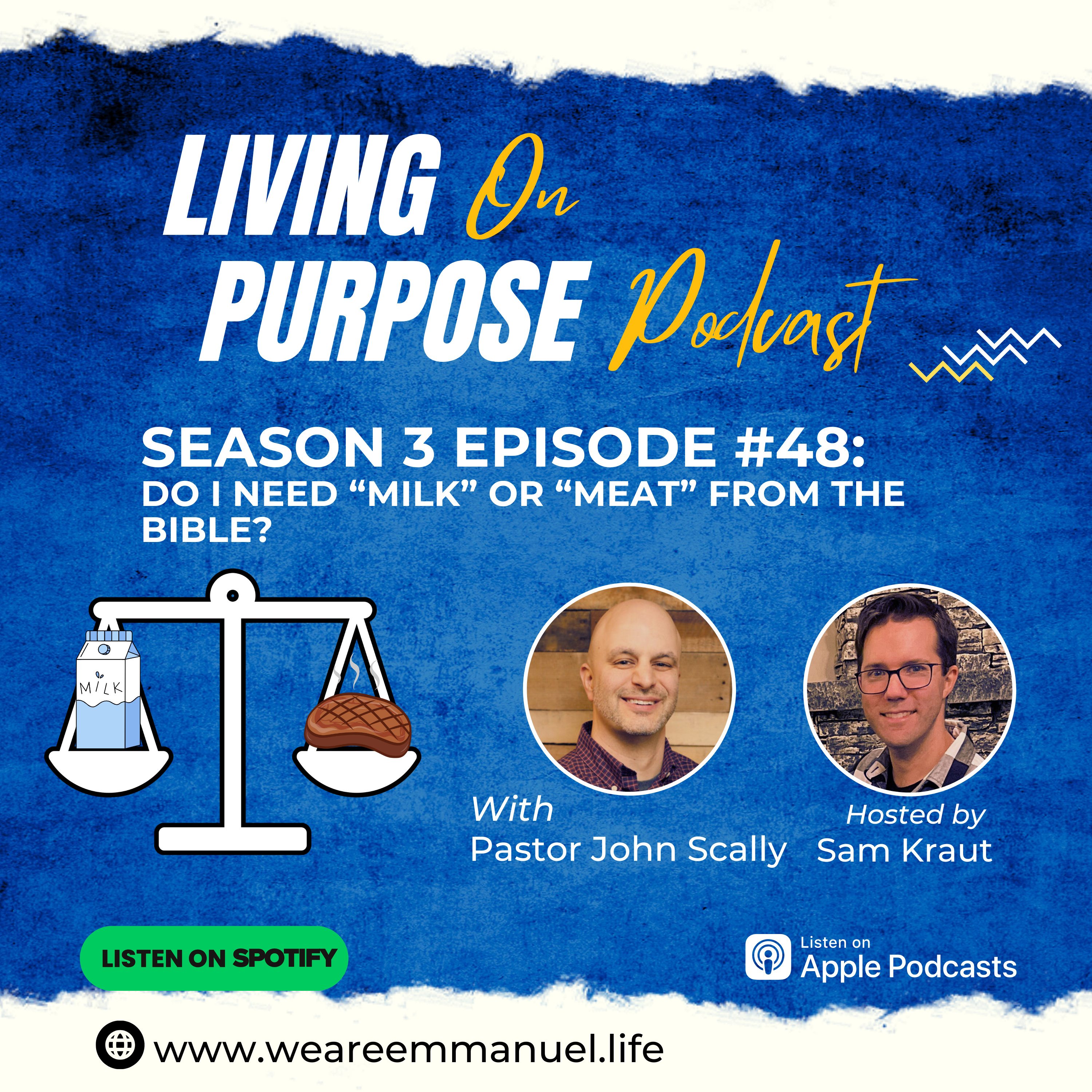 Do I Need "Milk" or "Meat" From The Bible? episode artwork