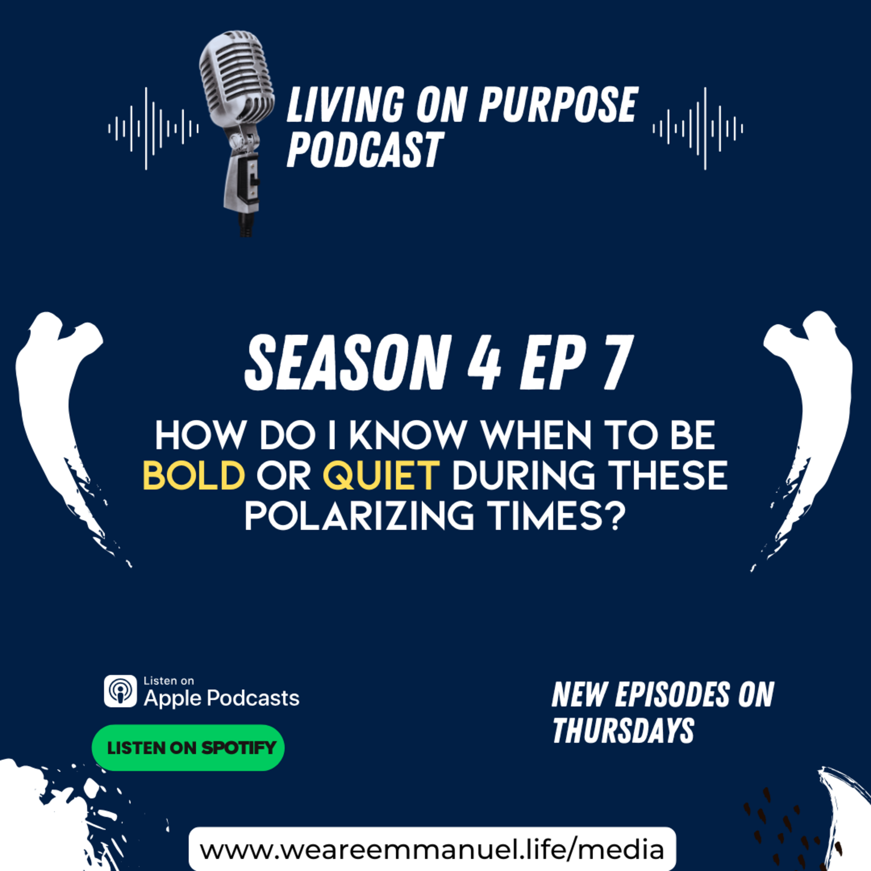 Should I Be Bold or Quiet During These Polarizing Times? episode artwork
