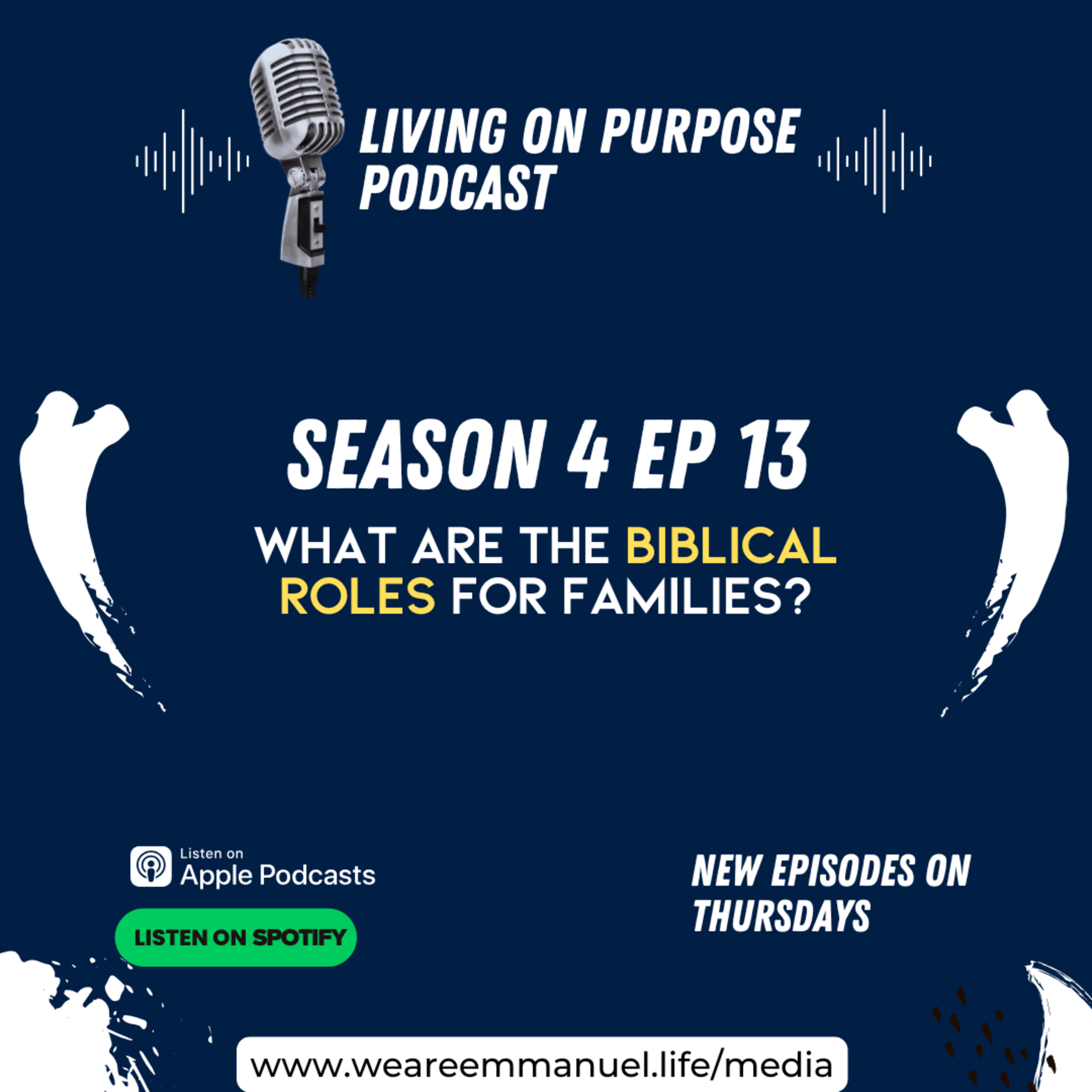 What are the Biblical roles for families? episode artwork