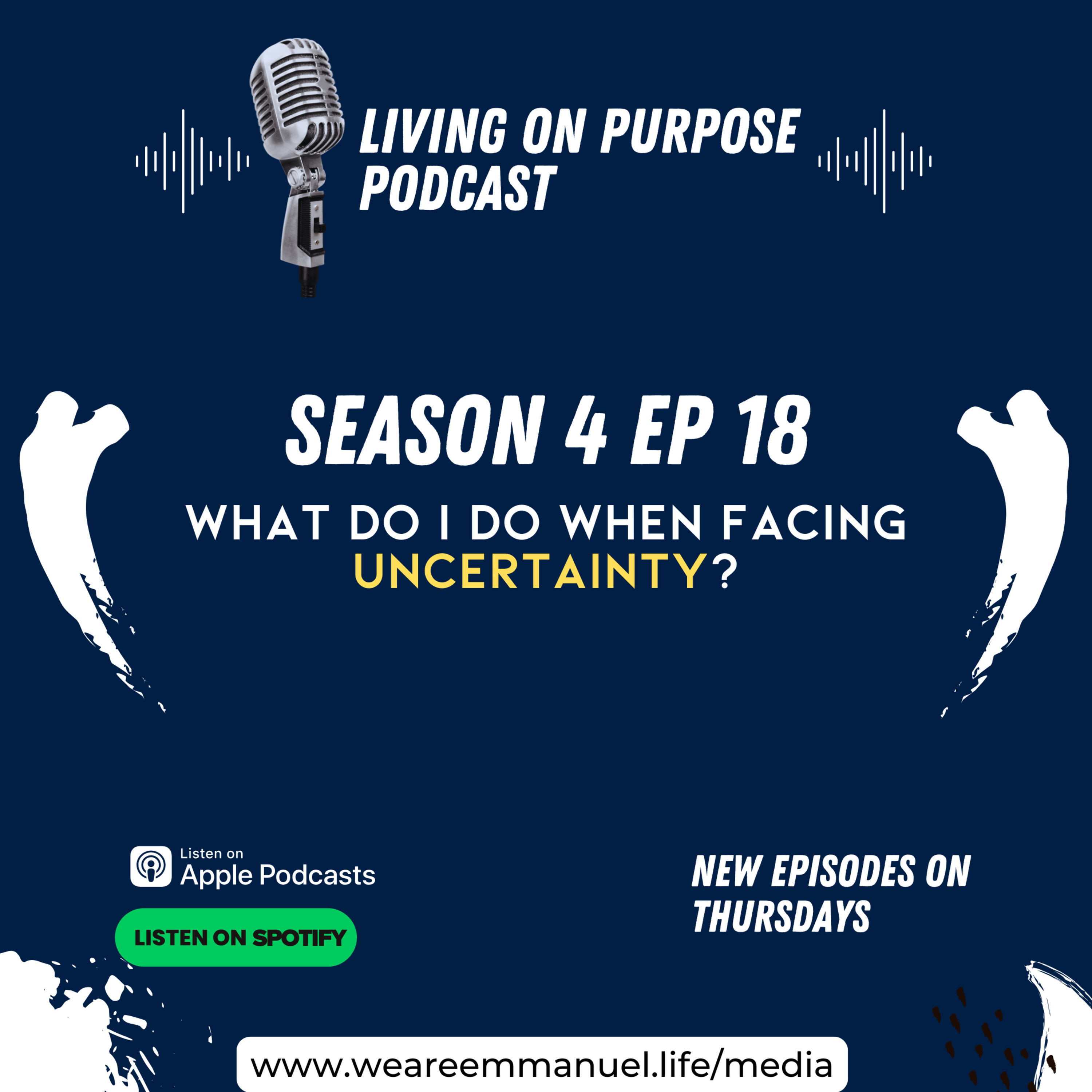 What Do I Do When Facing Uncertainty? episode artwork