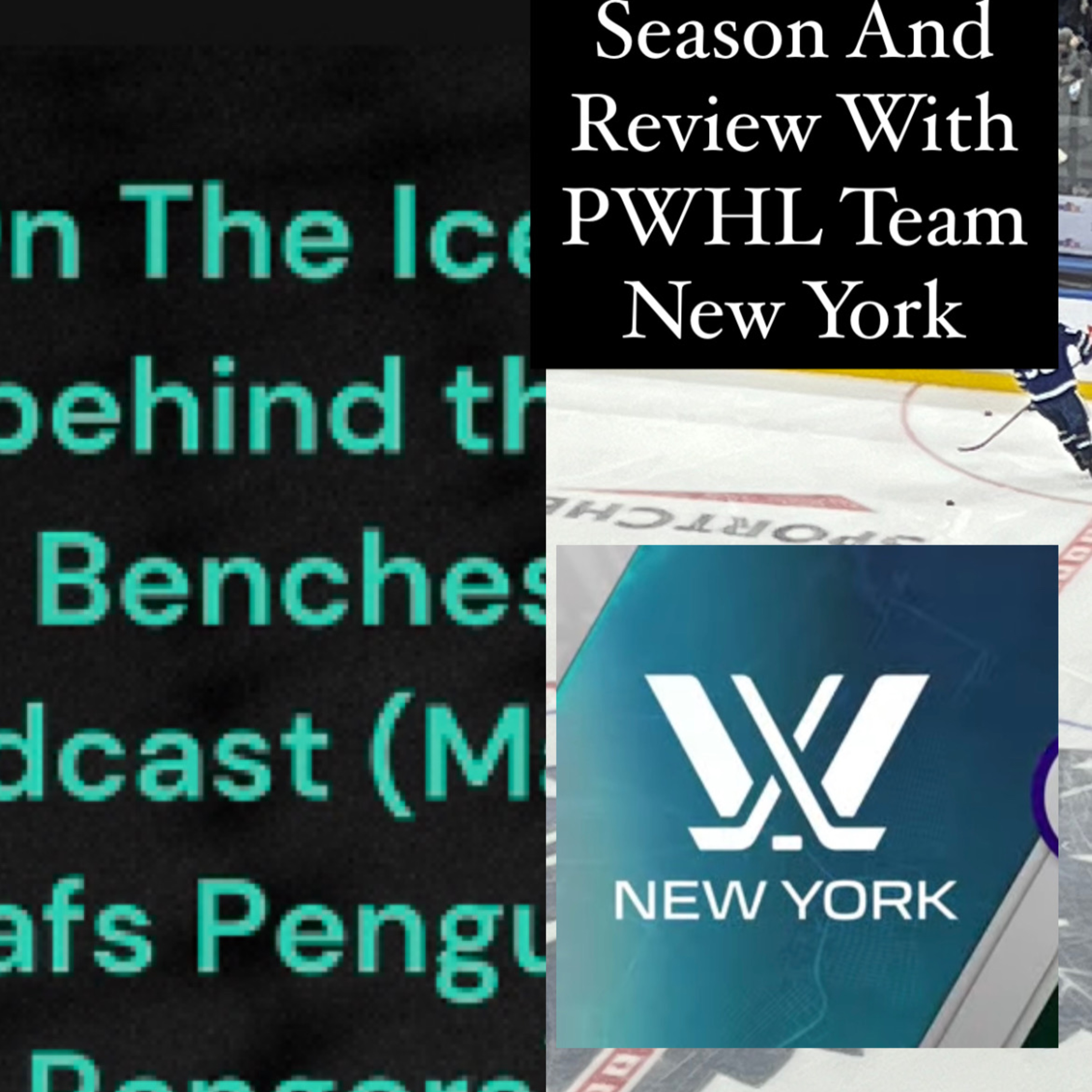2024 PWHL Season in review Team New York inaugural season recap