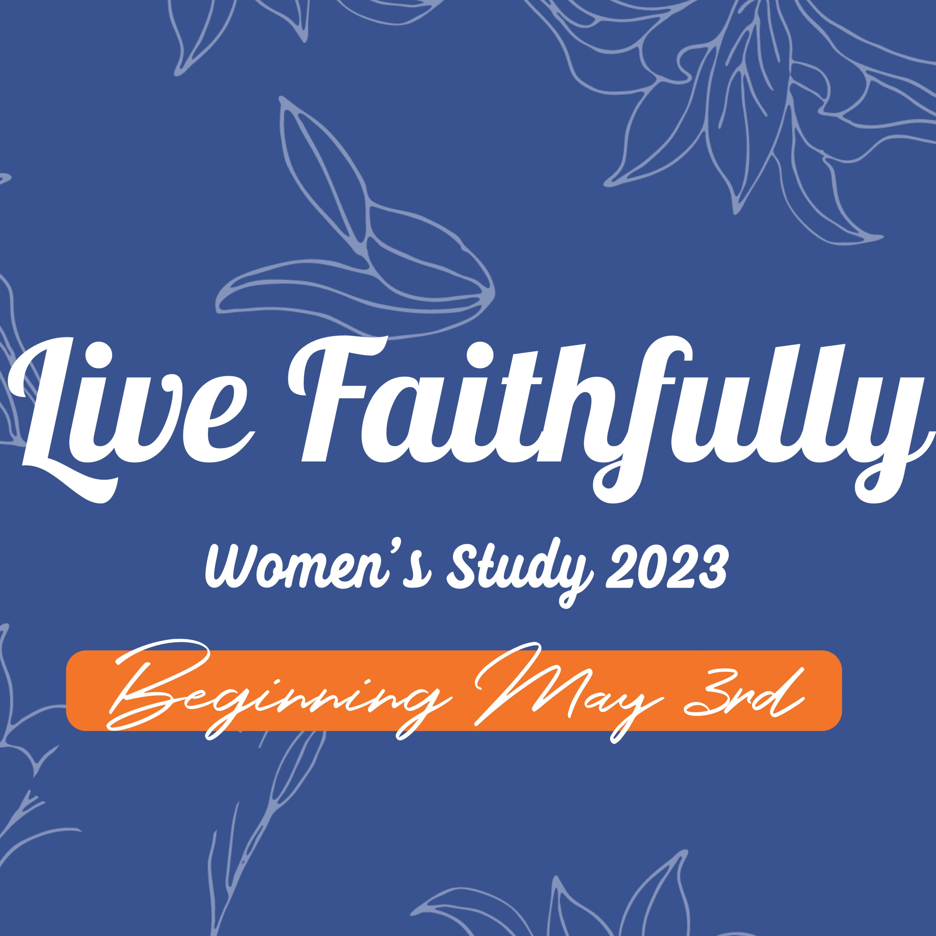 5.3.23 // Women's Study: Lori Cook episode artwork