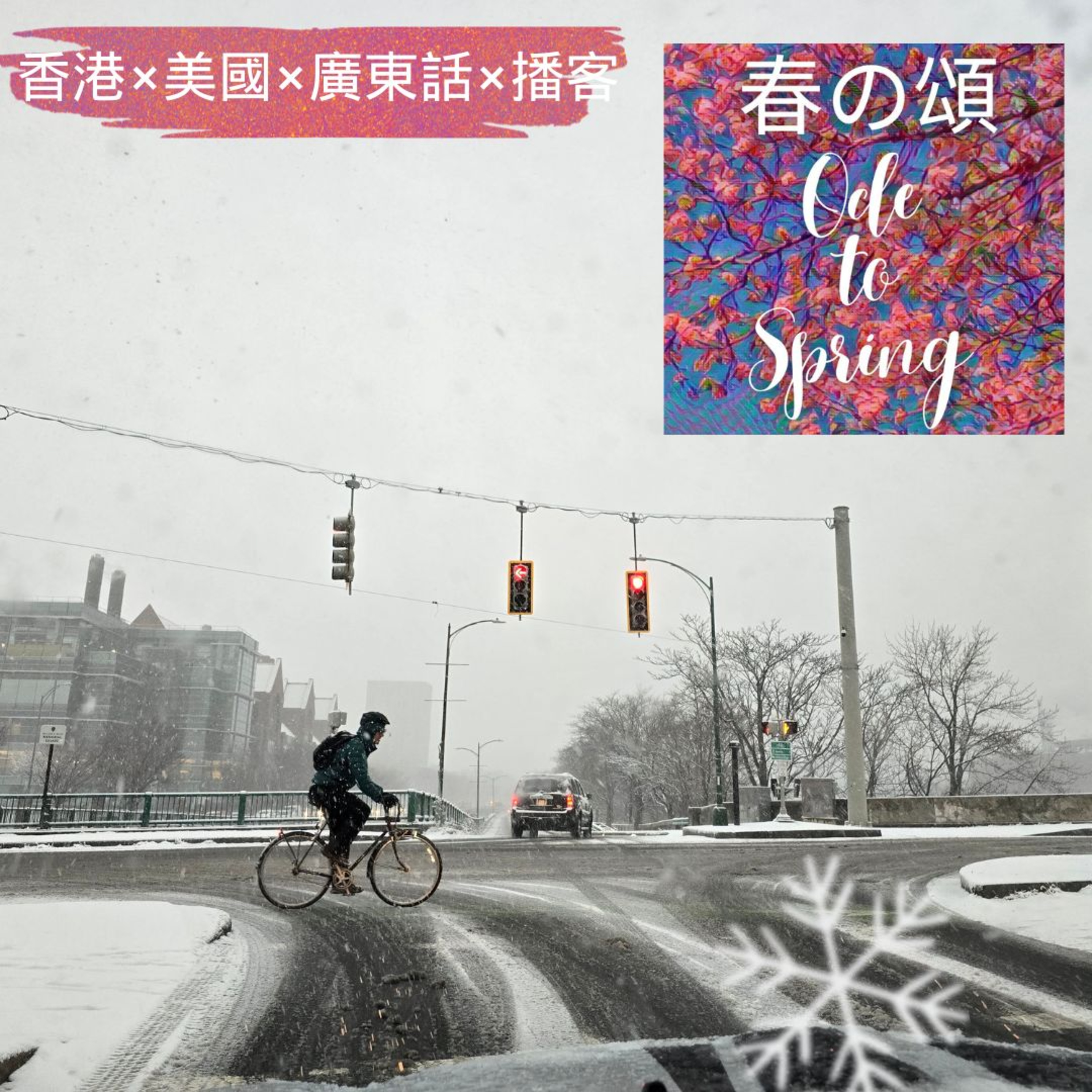 波士頓入冬第一場大雪 Snow Storm in Boston episode artwork