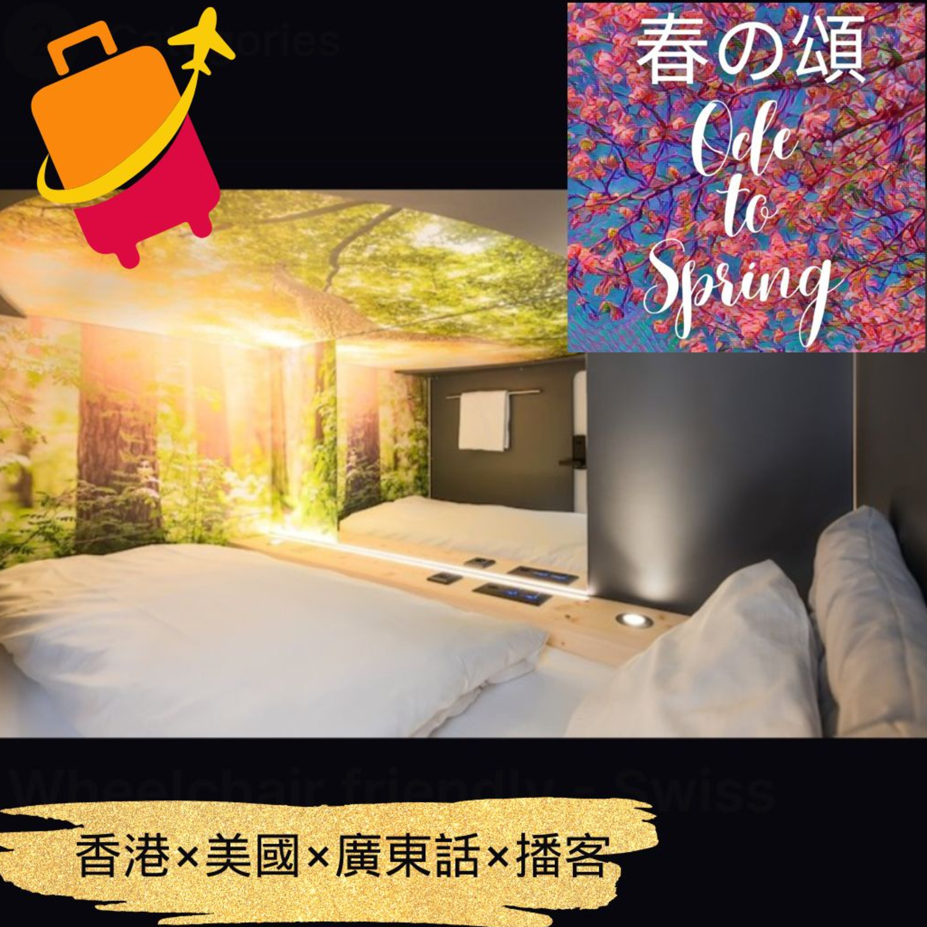 到蘇黎世住膠囊酒店 Capsule Hotel in Zürich episode artwork