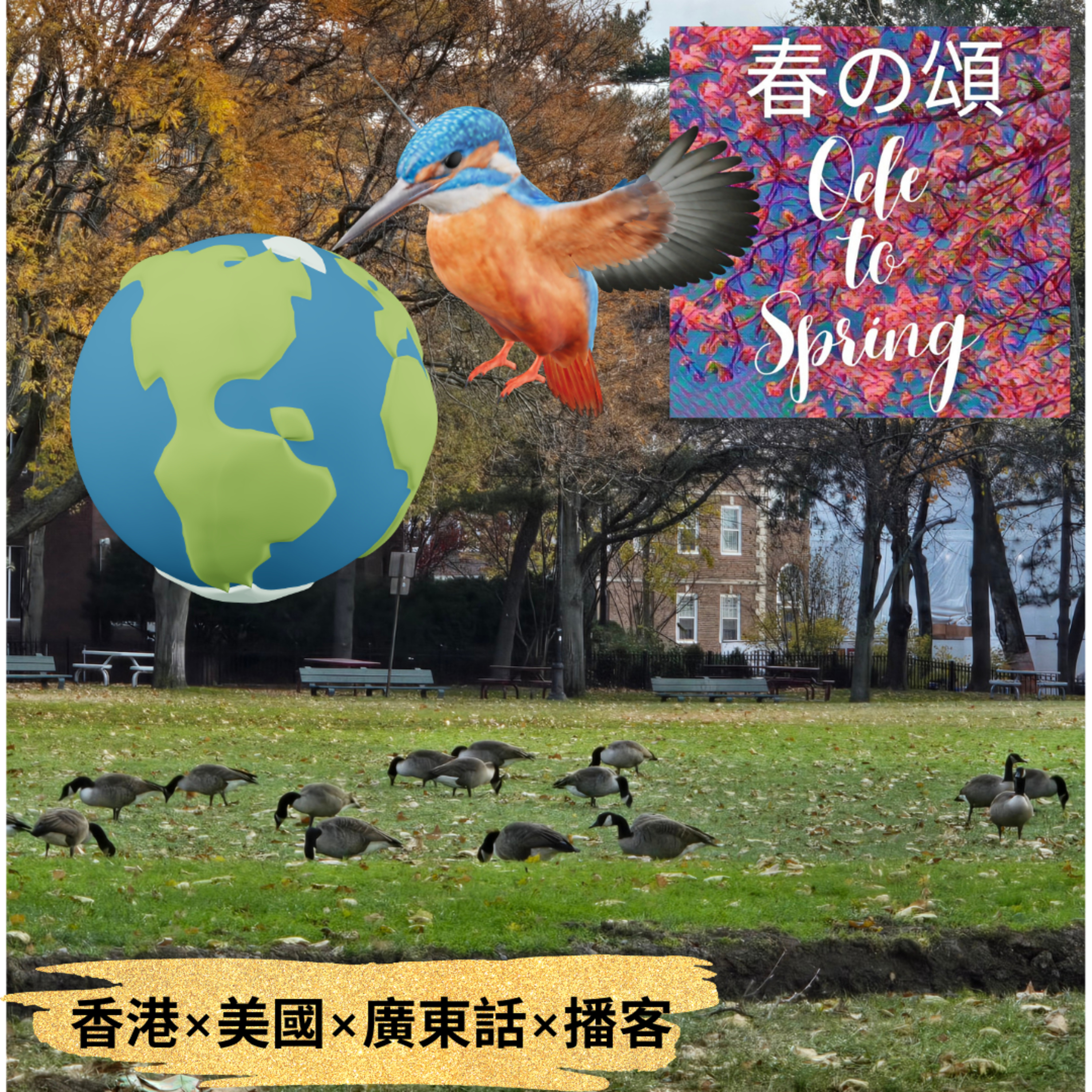 波士頓行車讓路給加拿大雁Make Way For Canada Goose episode artwork