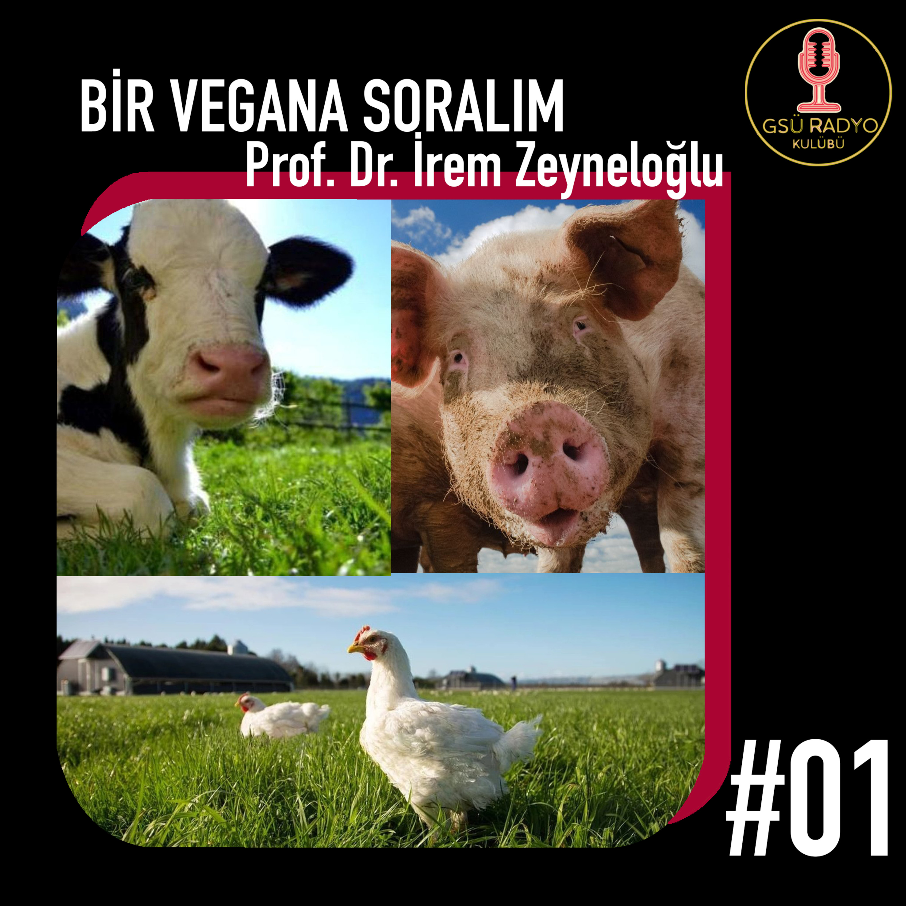 Bir Vegana Soralım #01 / Prof. Dr. İrem Zeyneloğlu episode artwork