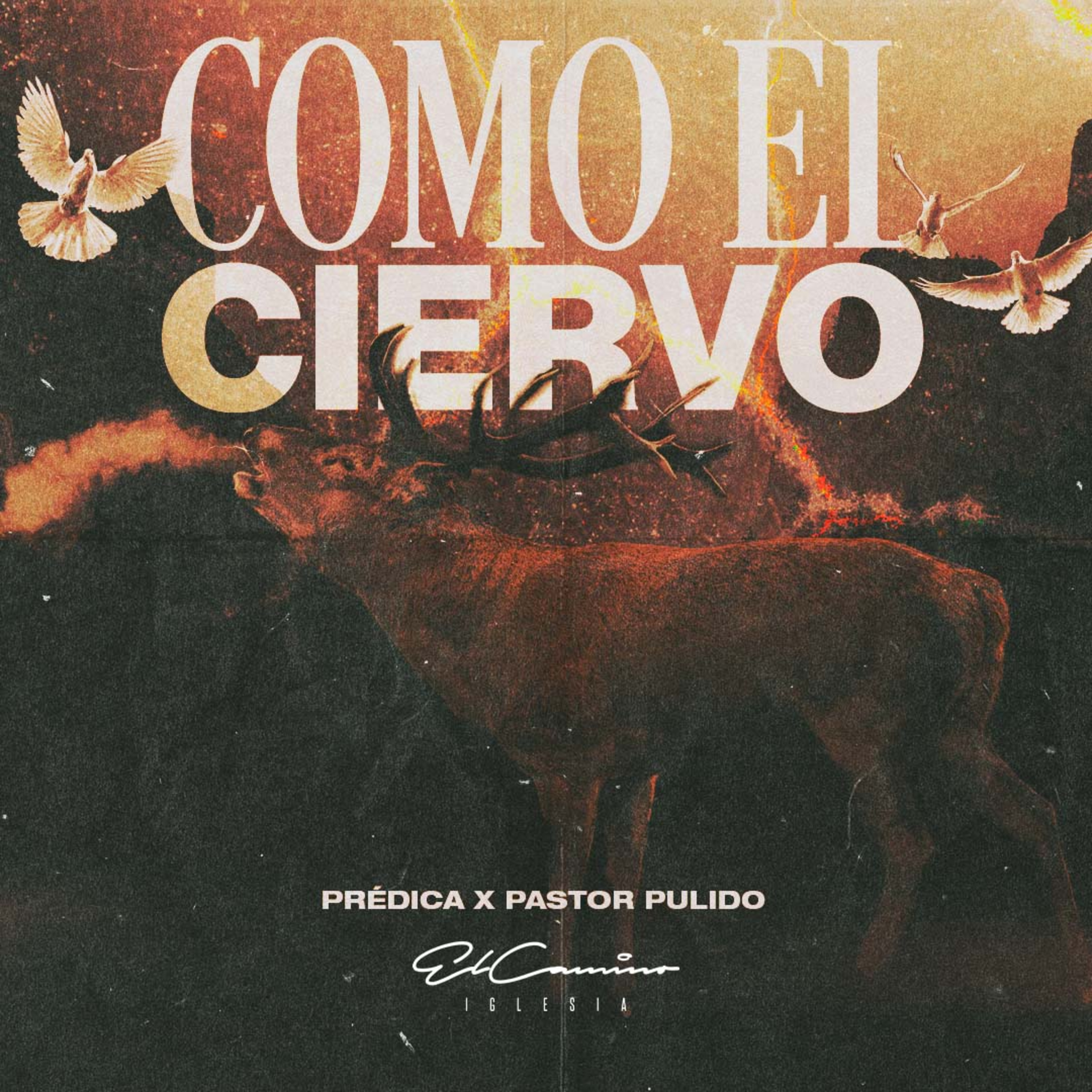 Portada de Iglesia El Camino Medellín