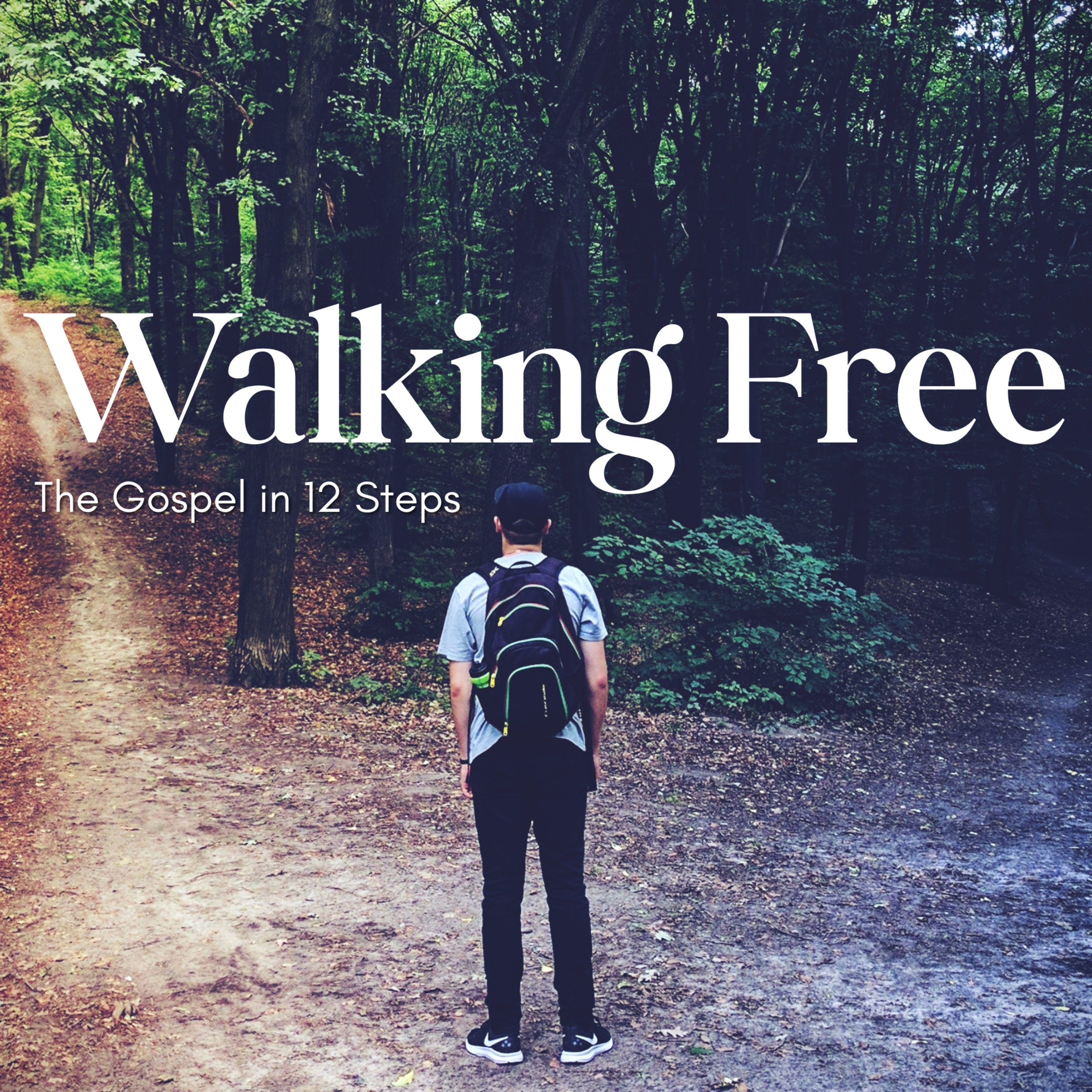 Willingness and Humility (Steps 6 & 7)