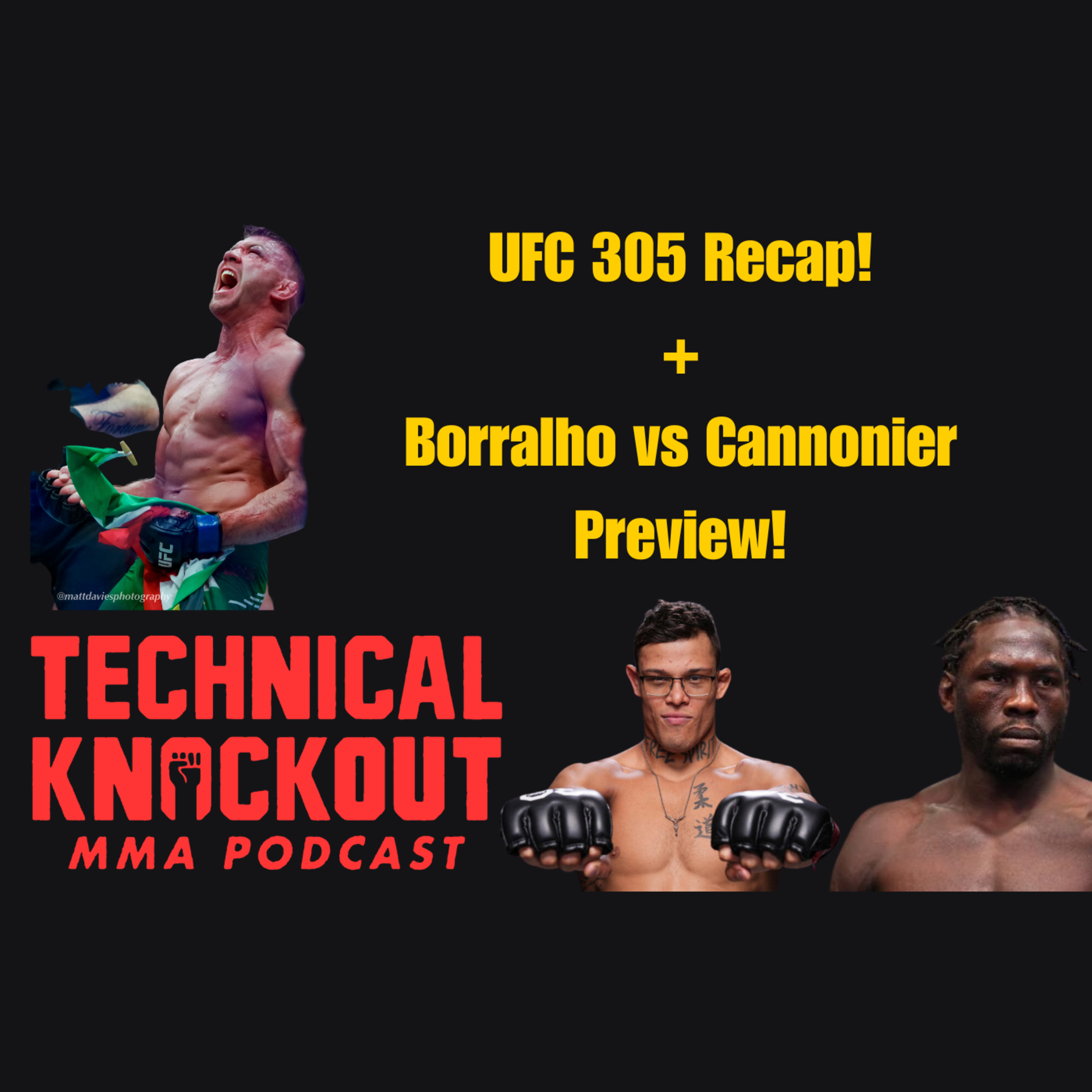 Technical Knockout: MMA Podcast