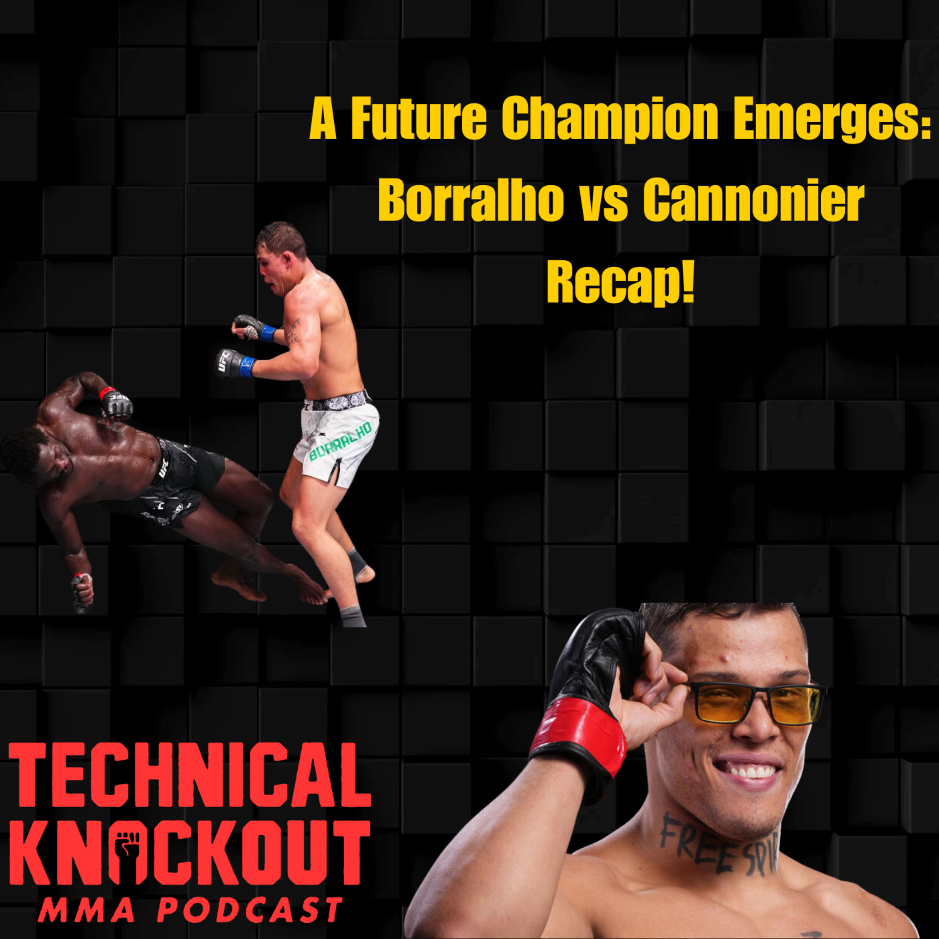 Technical Knockout: MMA Podcast