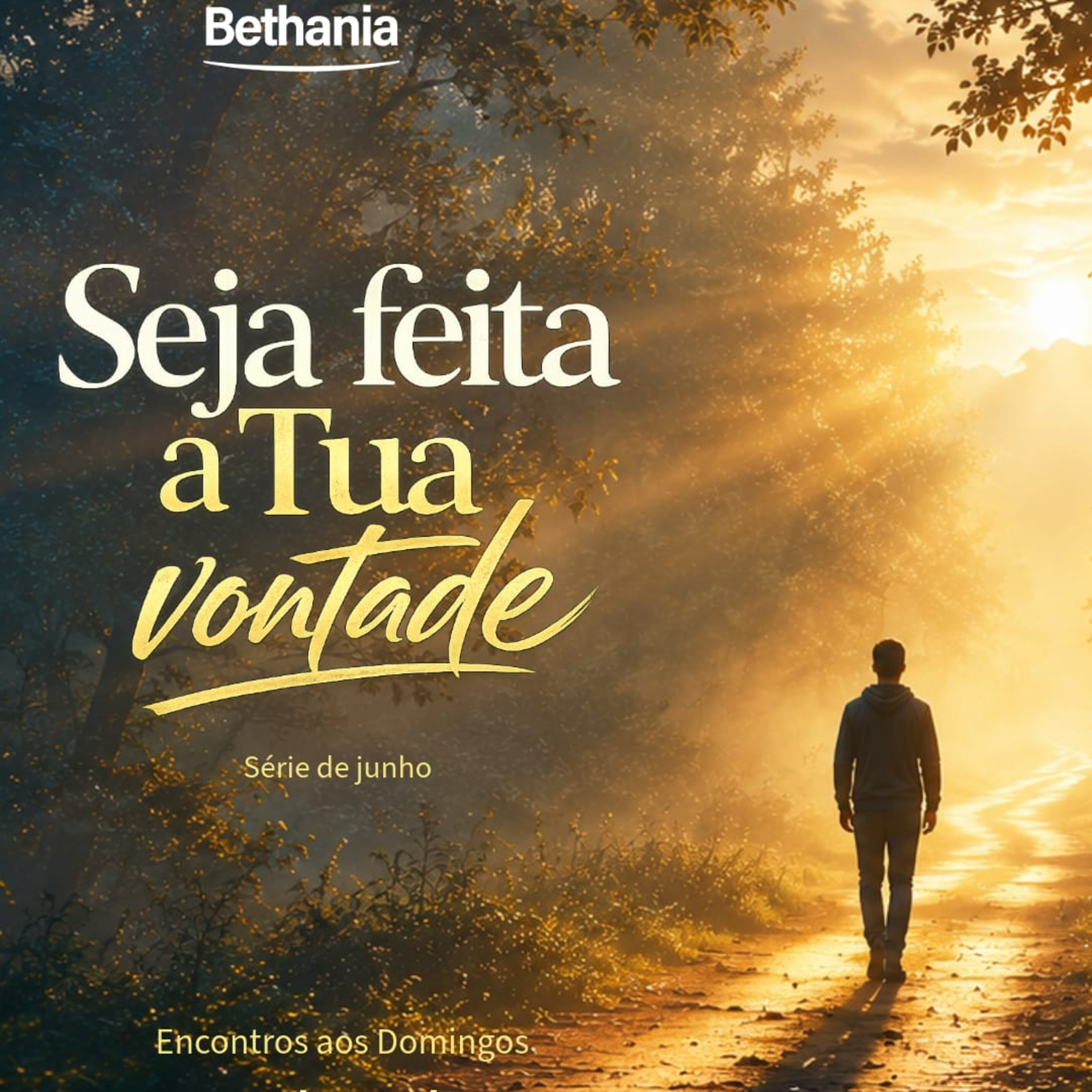 Série: Seja feita a tua vontade episode artwork
