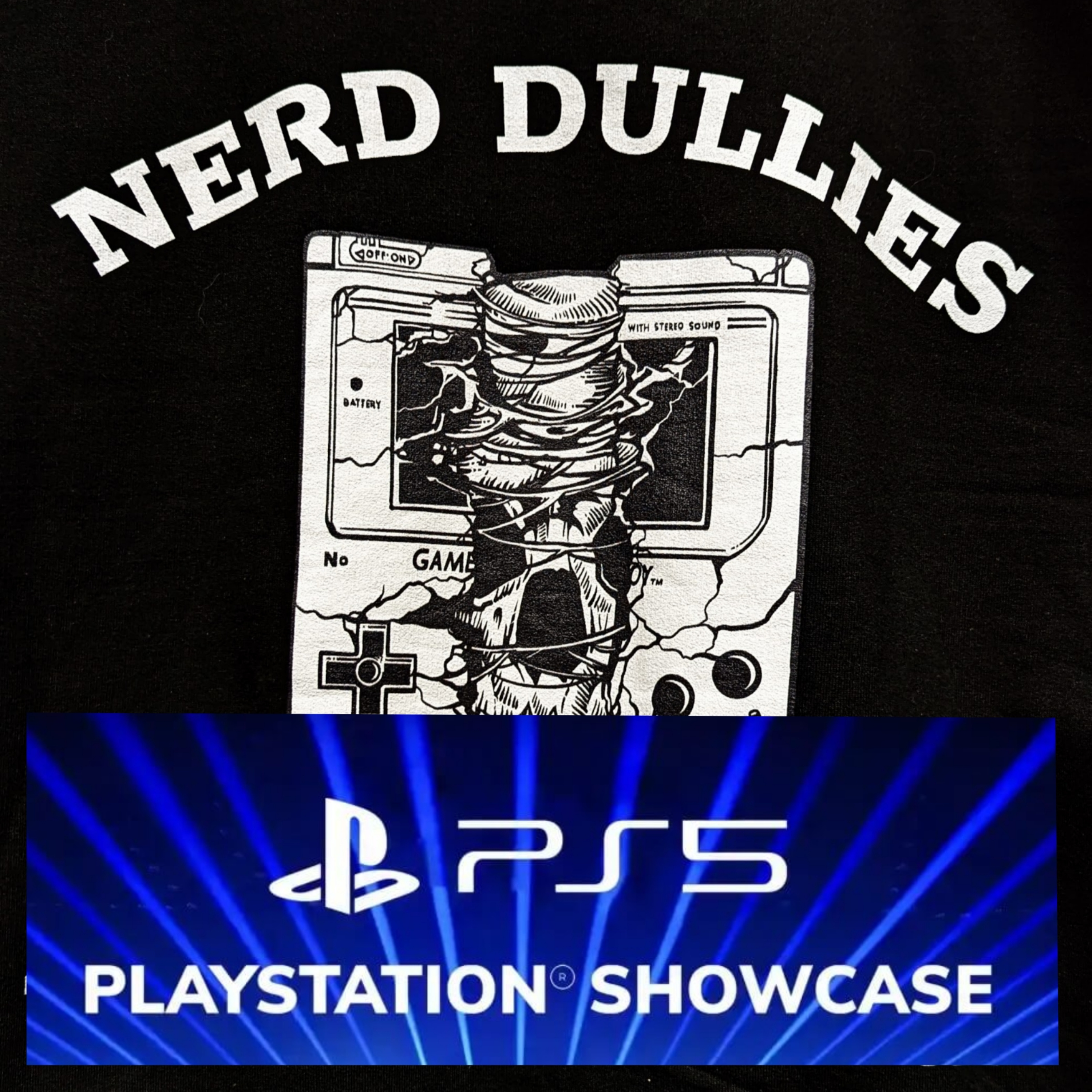 The Nerd DullieZ