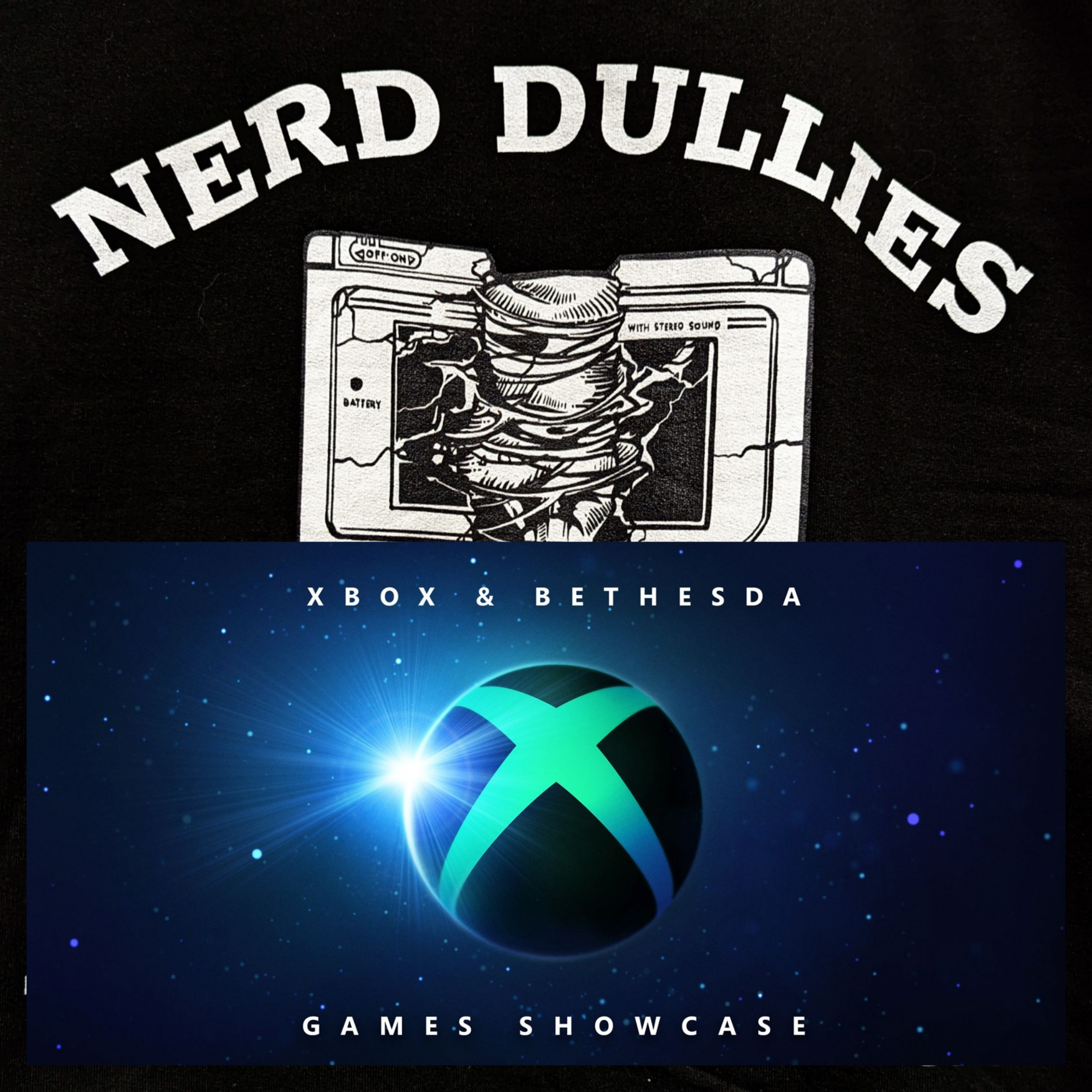 The Nerd DullieZ