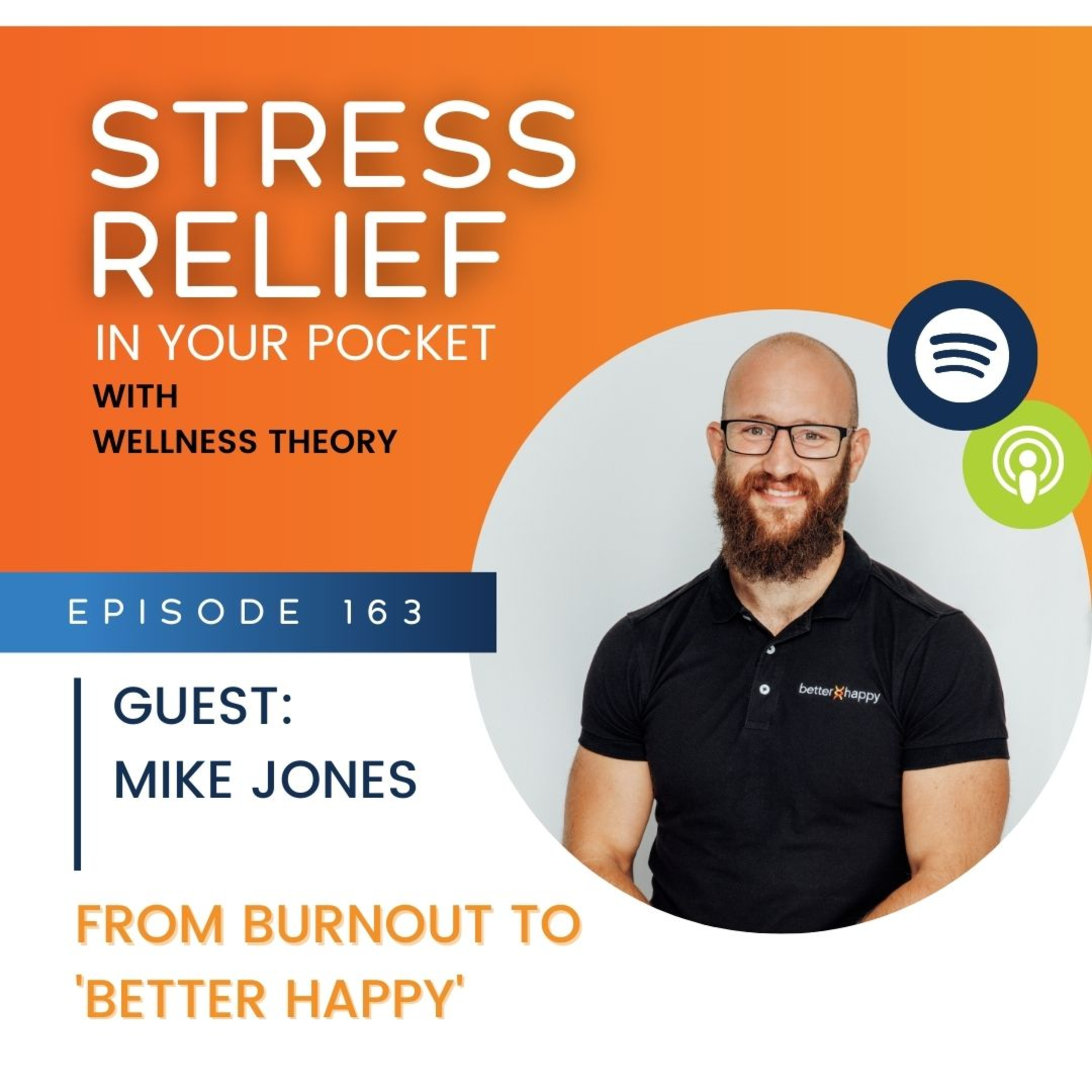 Stress Relief in Your Pocket with The Wellness Theory
