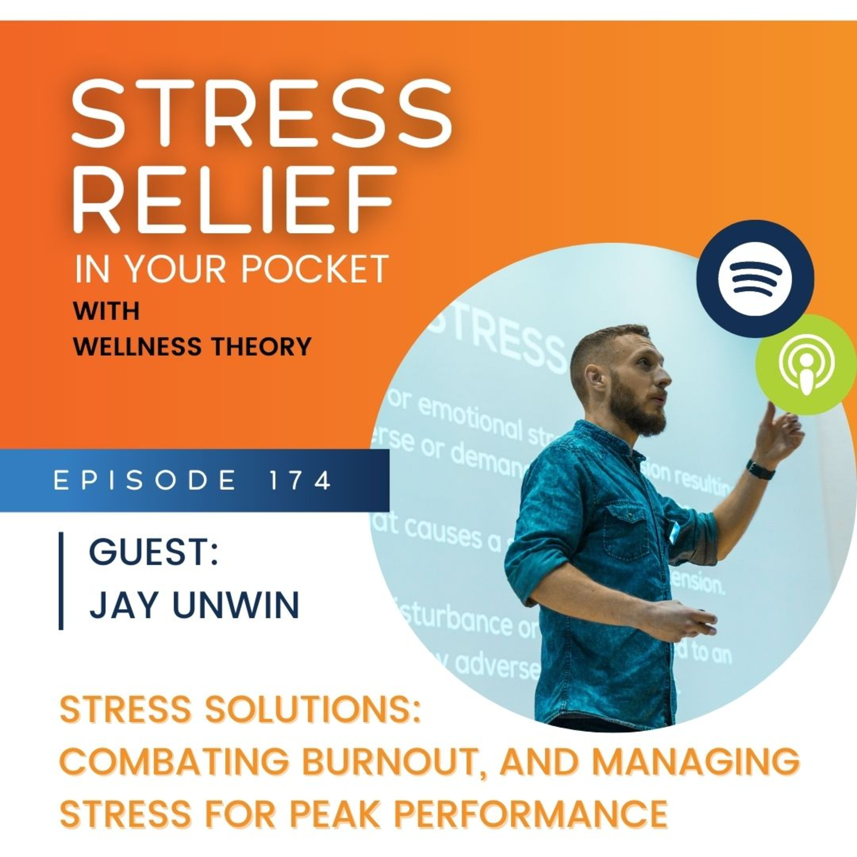 Stress Relief in Your Pocket with The Wellness Theory