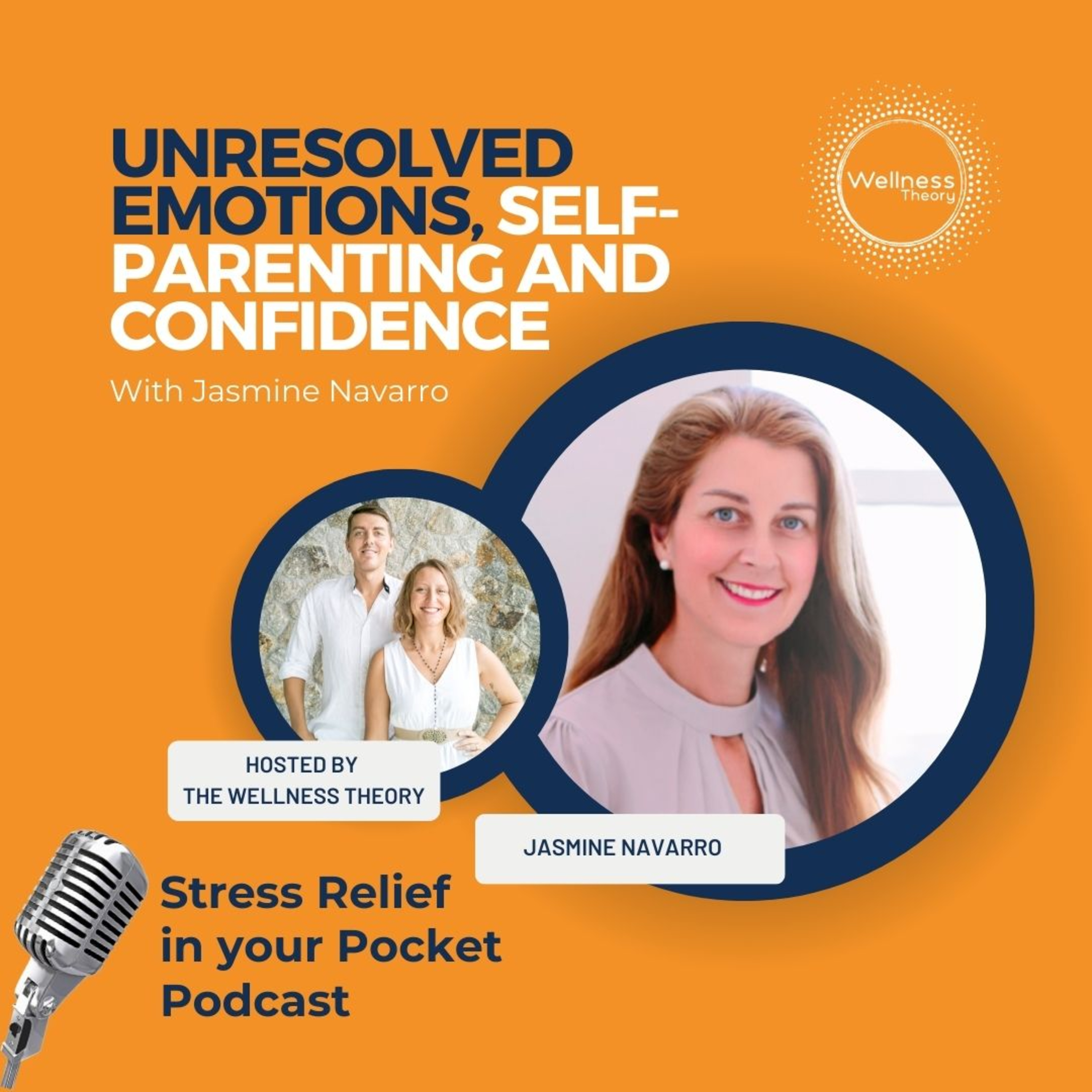 Stress Relief in Your Pocket with The Wellness Theory