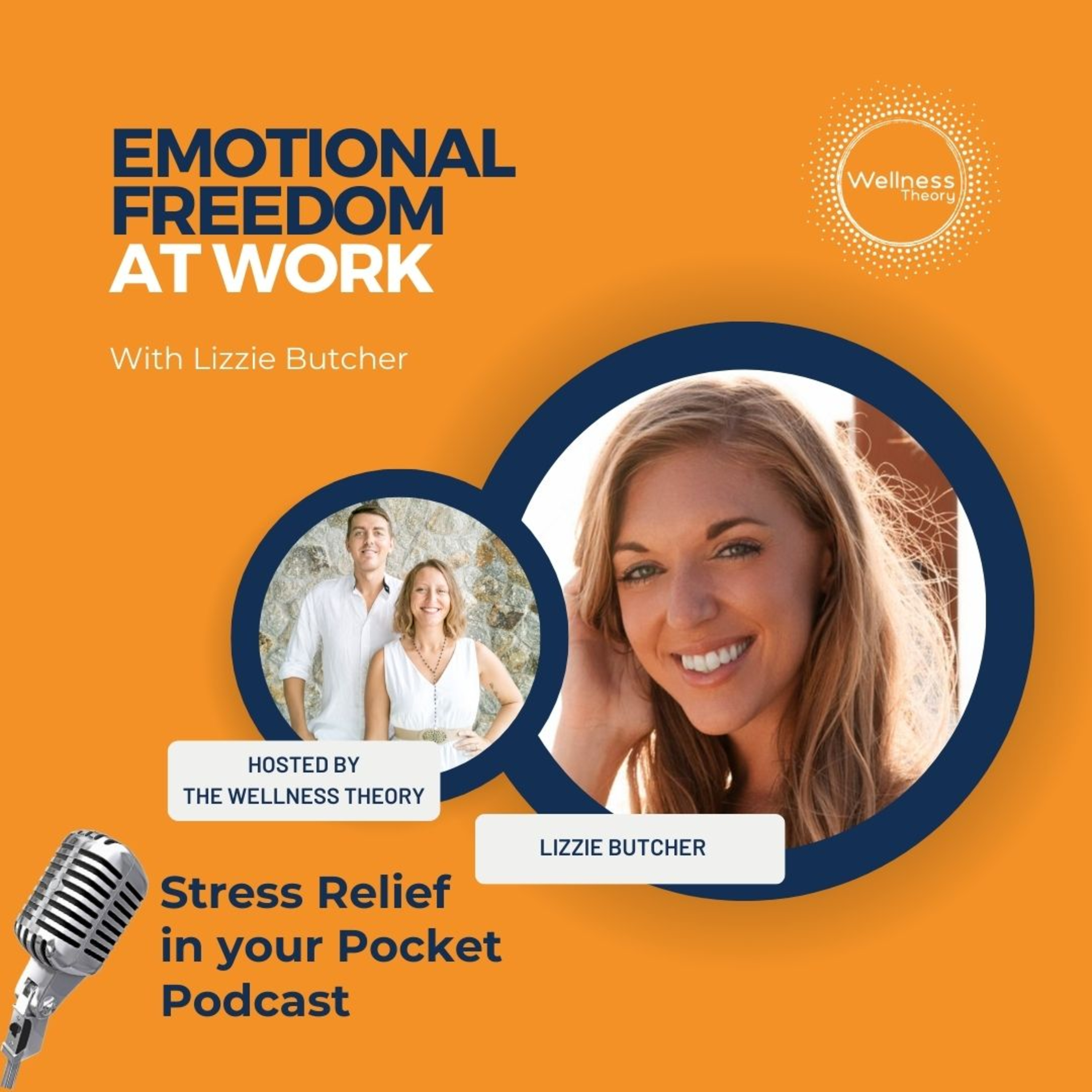 Stress Relief in Your Pocket with The Wellness Theory