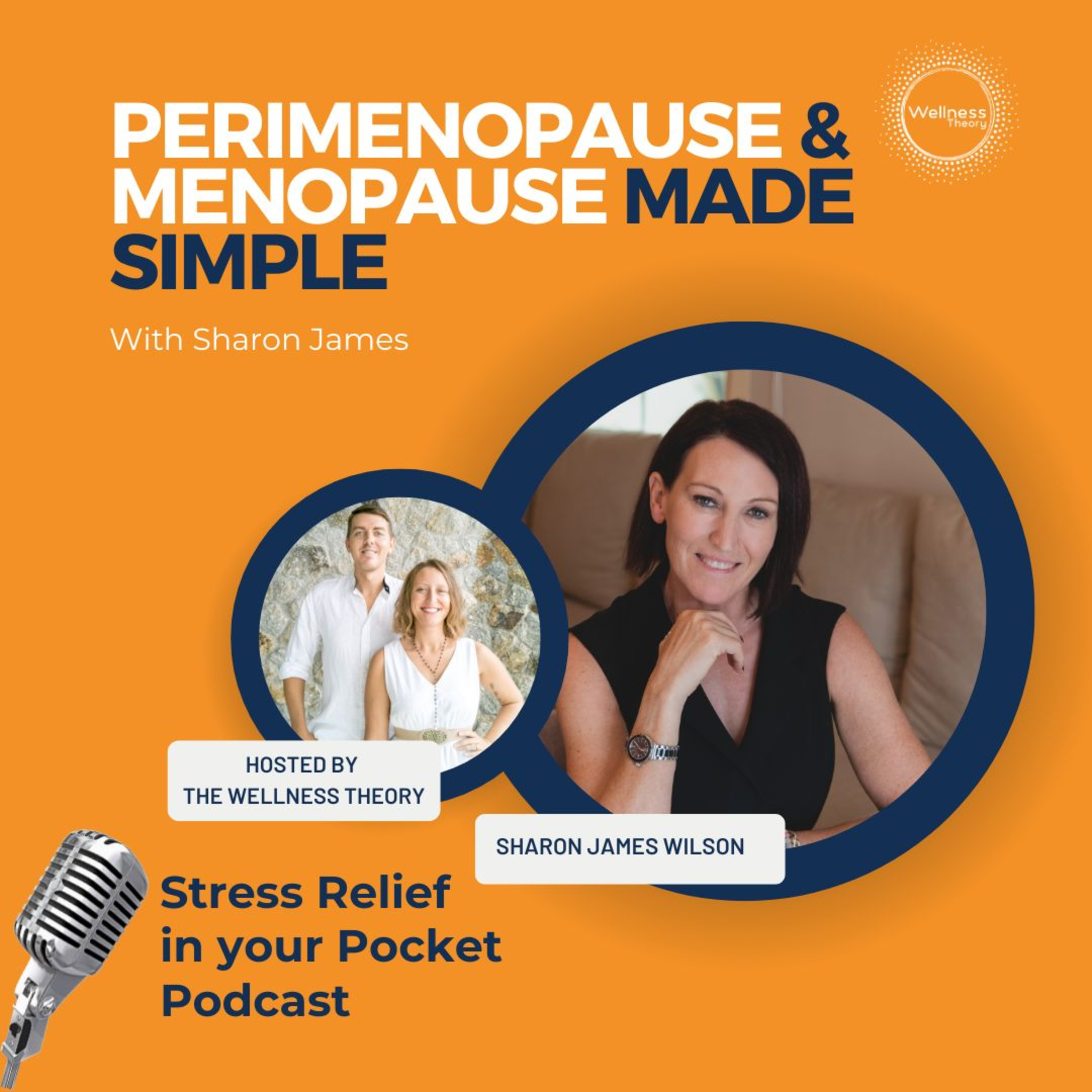 Stress Relief in Your Pocket with The Wellness Theory