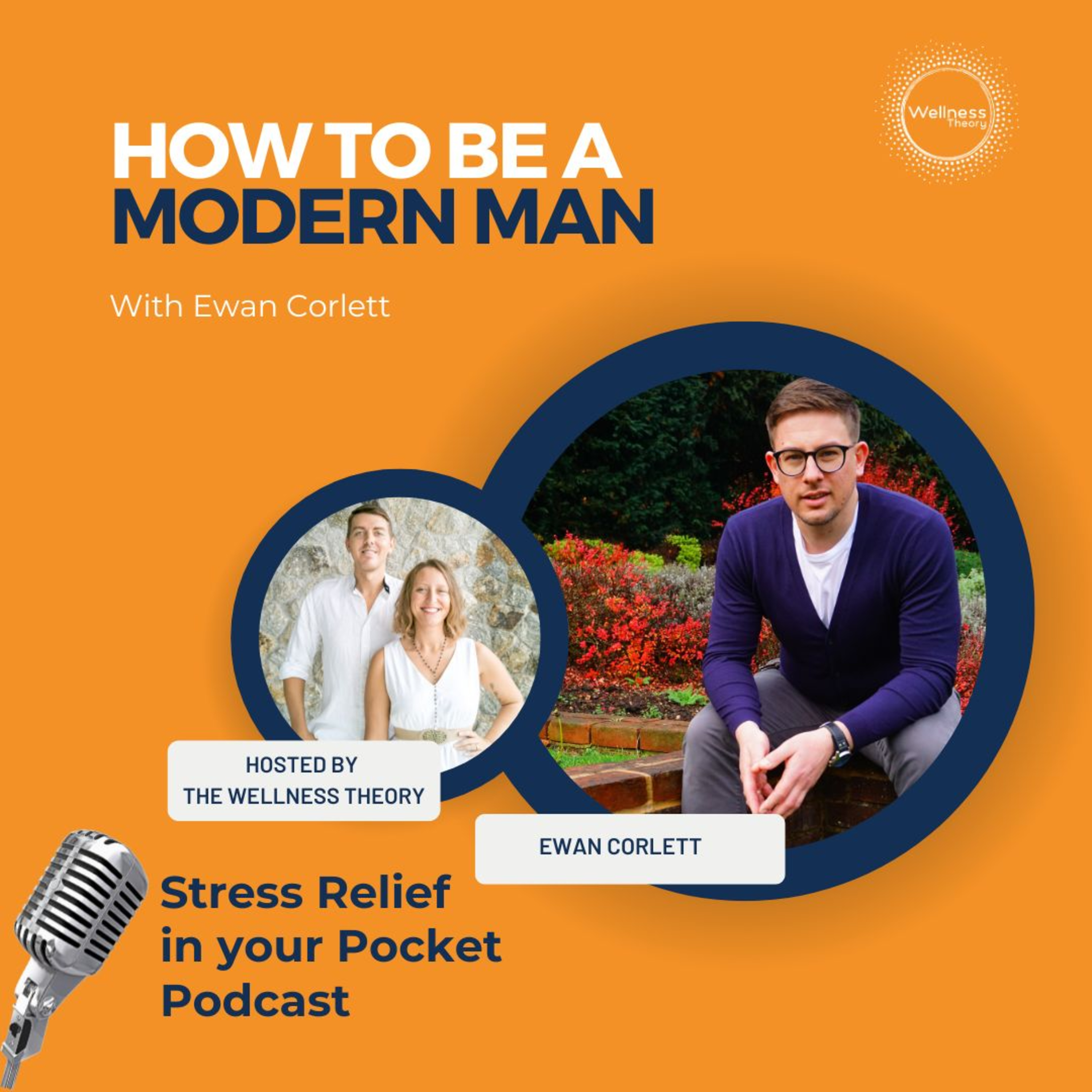 Stress Relief in Your Pocket with The Wellness Theory