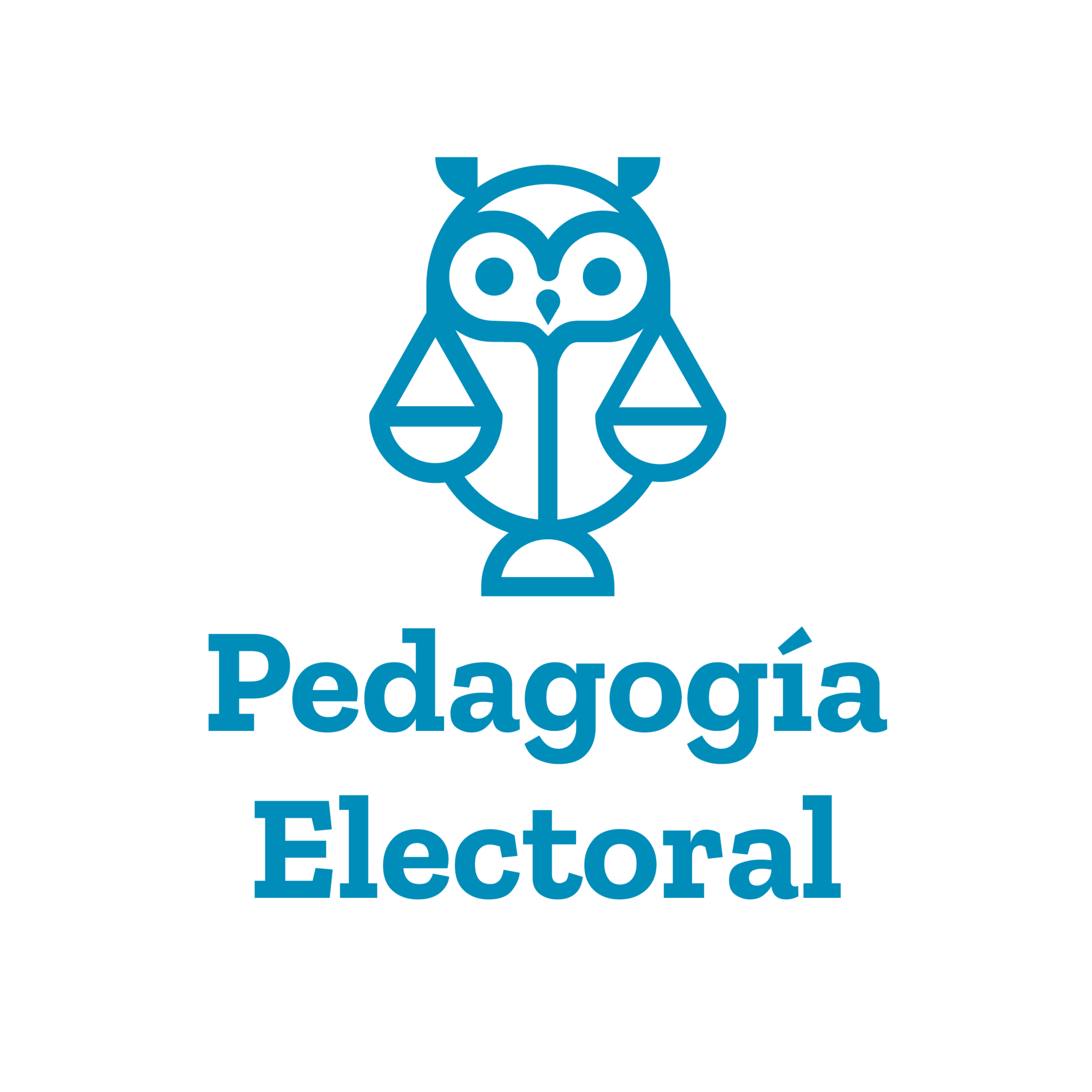 Pedagogía Económica y Electoral