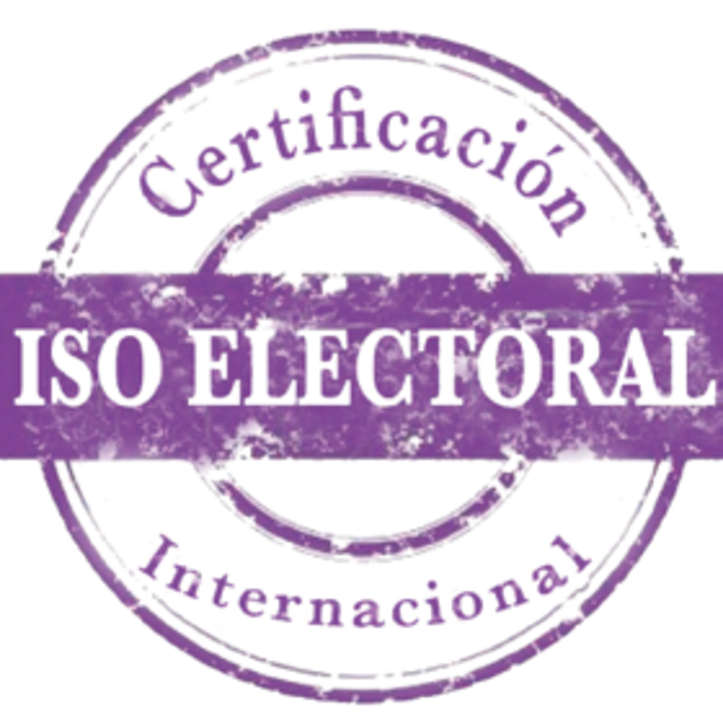 ¿Venezuela cumple con los estándares internacionales de los procesos electorales? 2/2