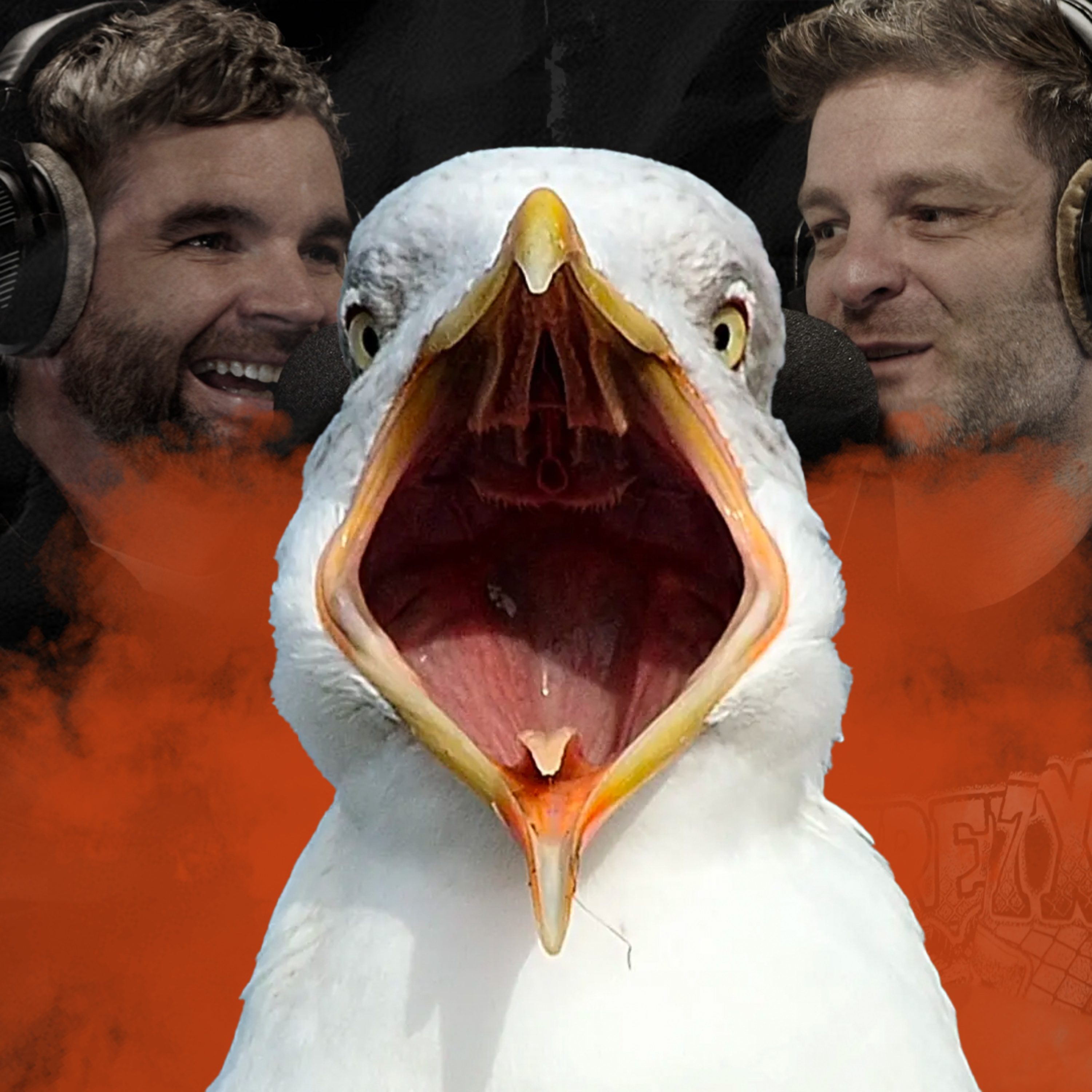Ep.70 - Bird Hair episode artwork