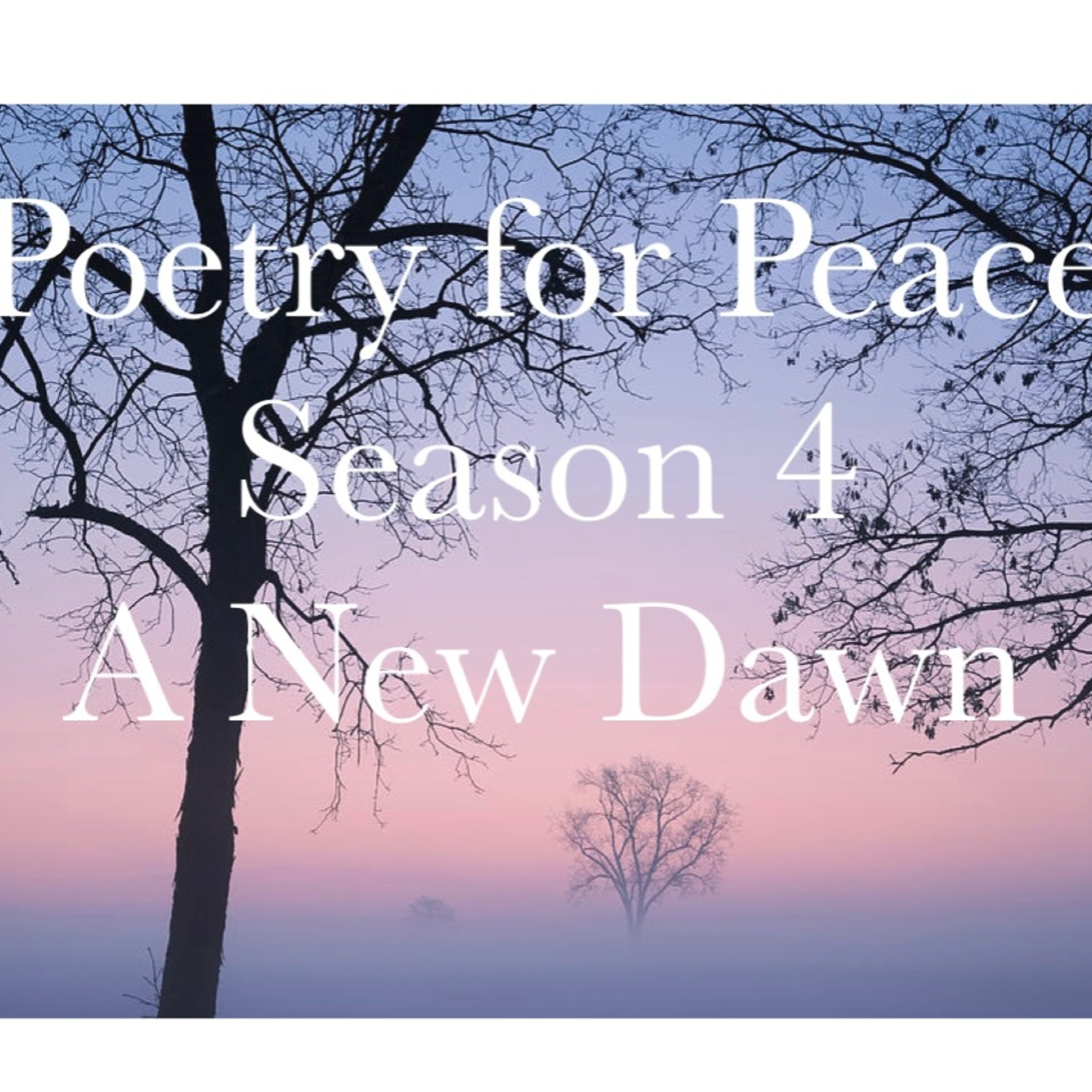 Poetry for Peace