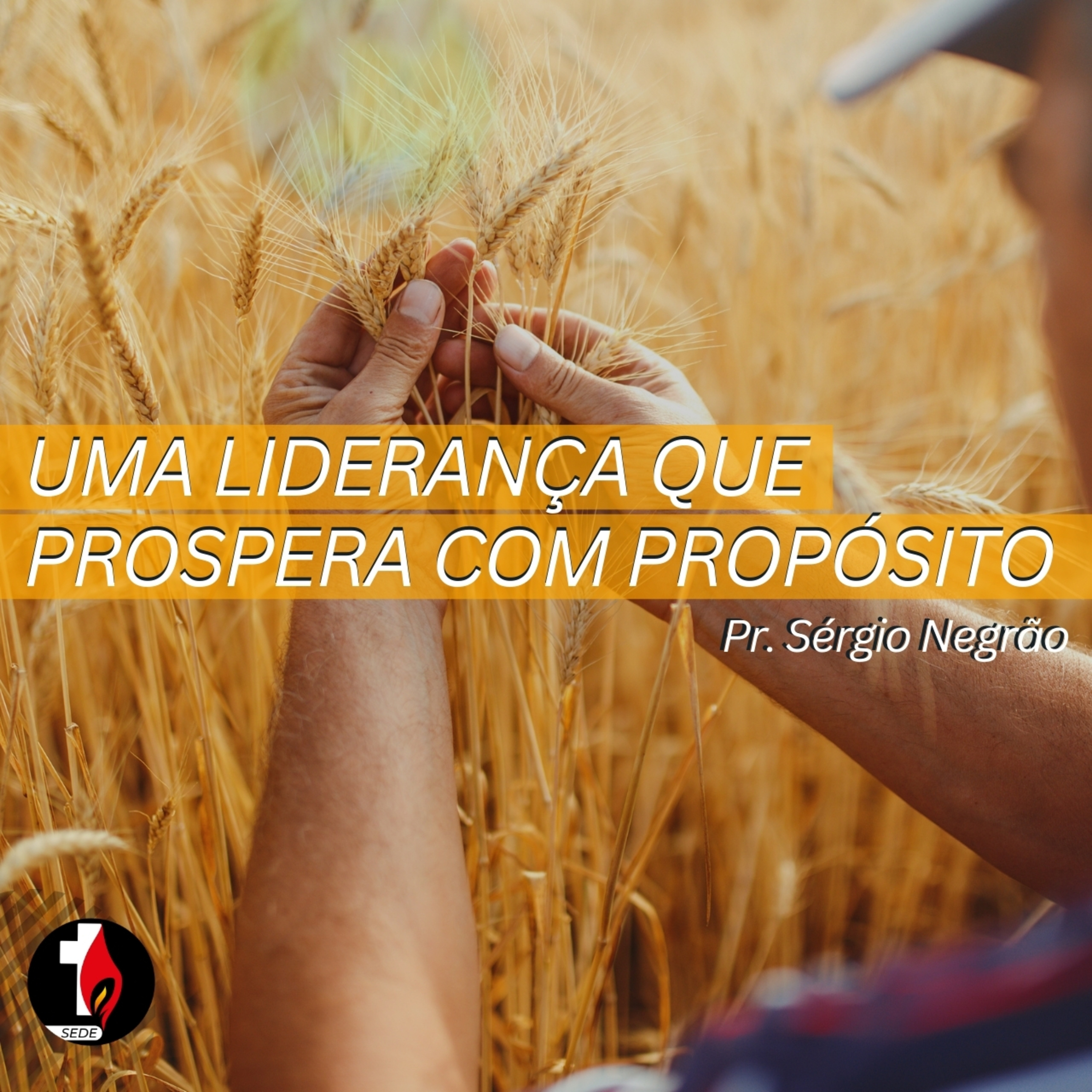 Uma liderança que prospera com propósito | Pr. Sérgio Negrão episode artwork