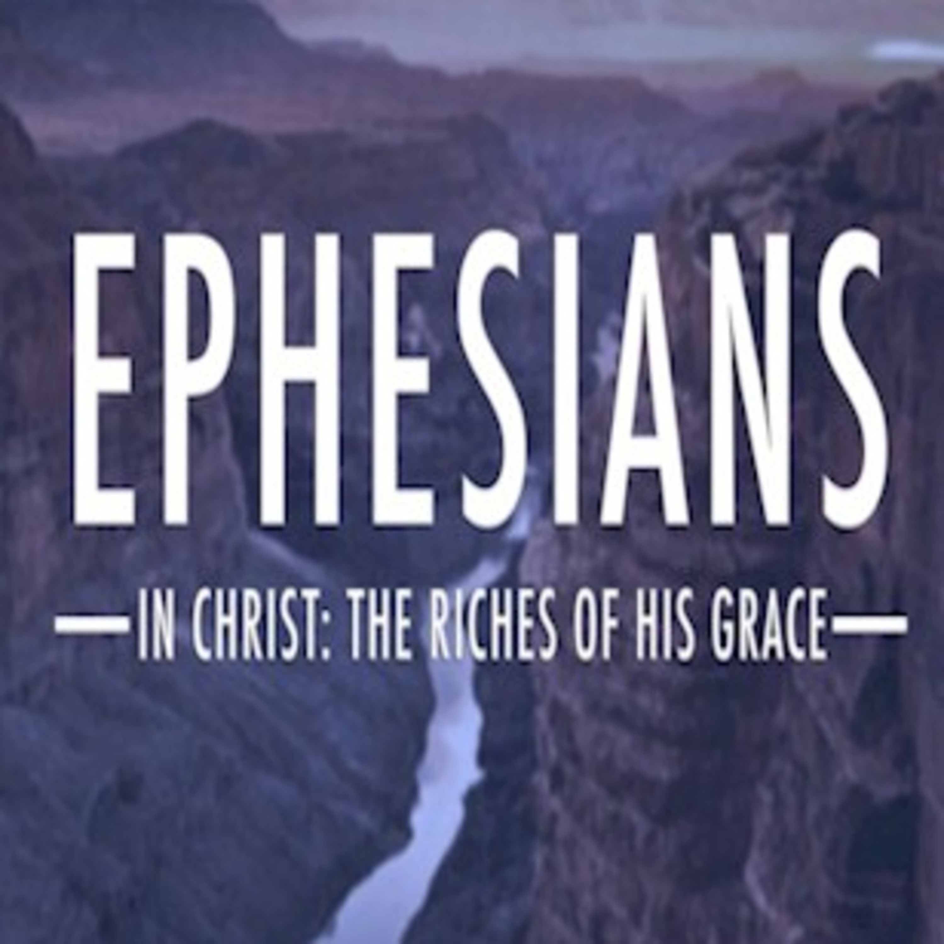 Delight in Grace