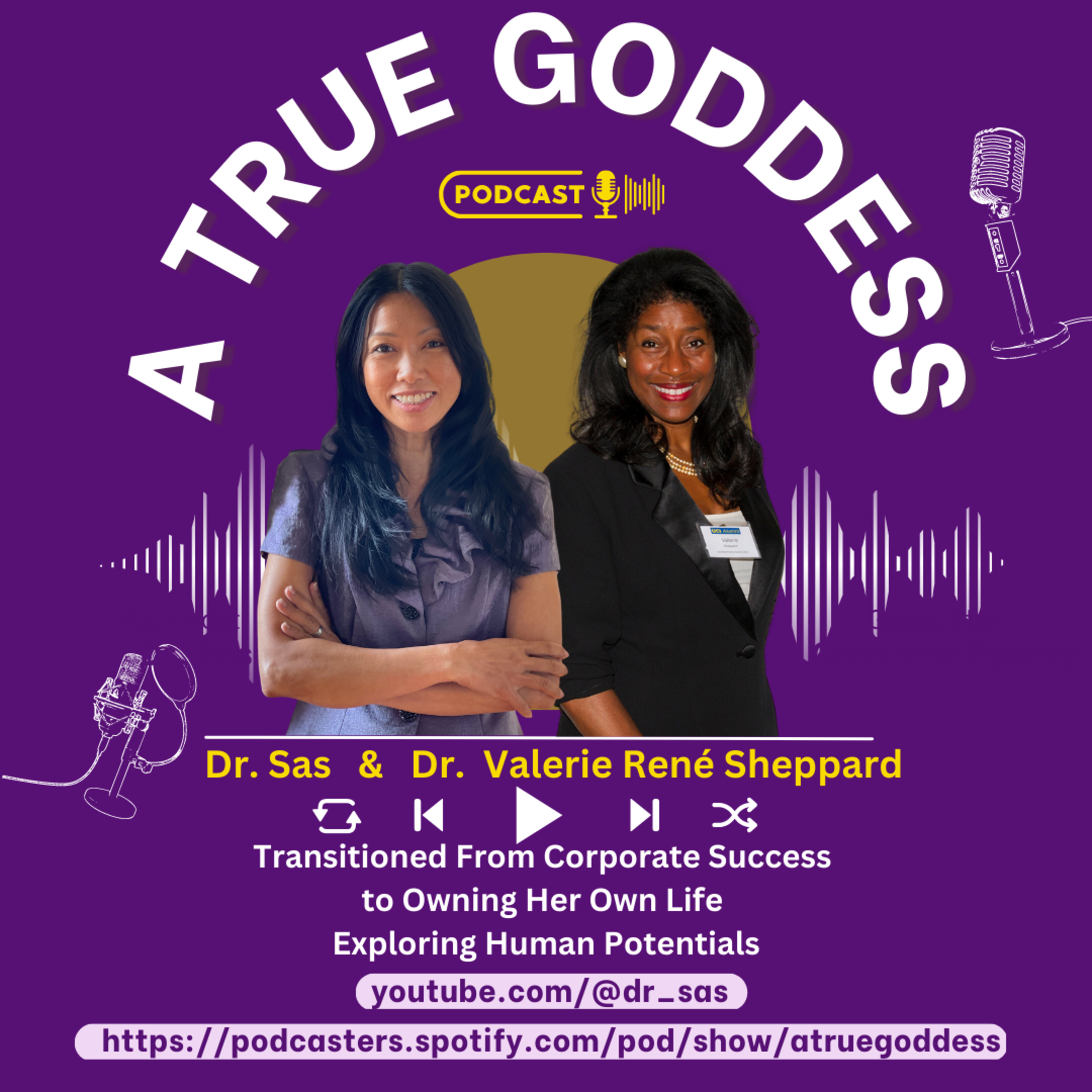 Transitioned From Corporate Success to Owning Her Own Life Exploring Human Potentials: Dr. Valerie René Sheppard episode artwork