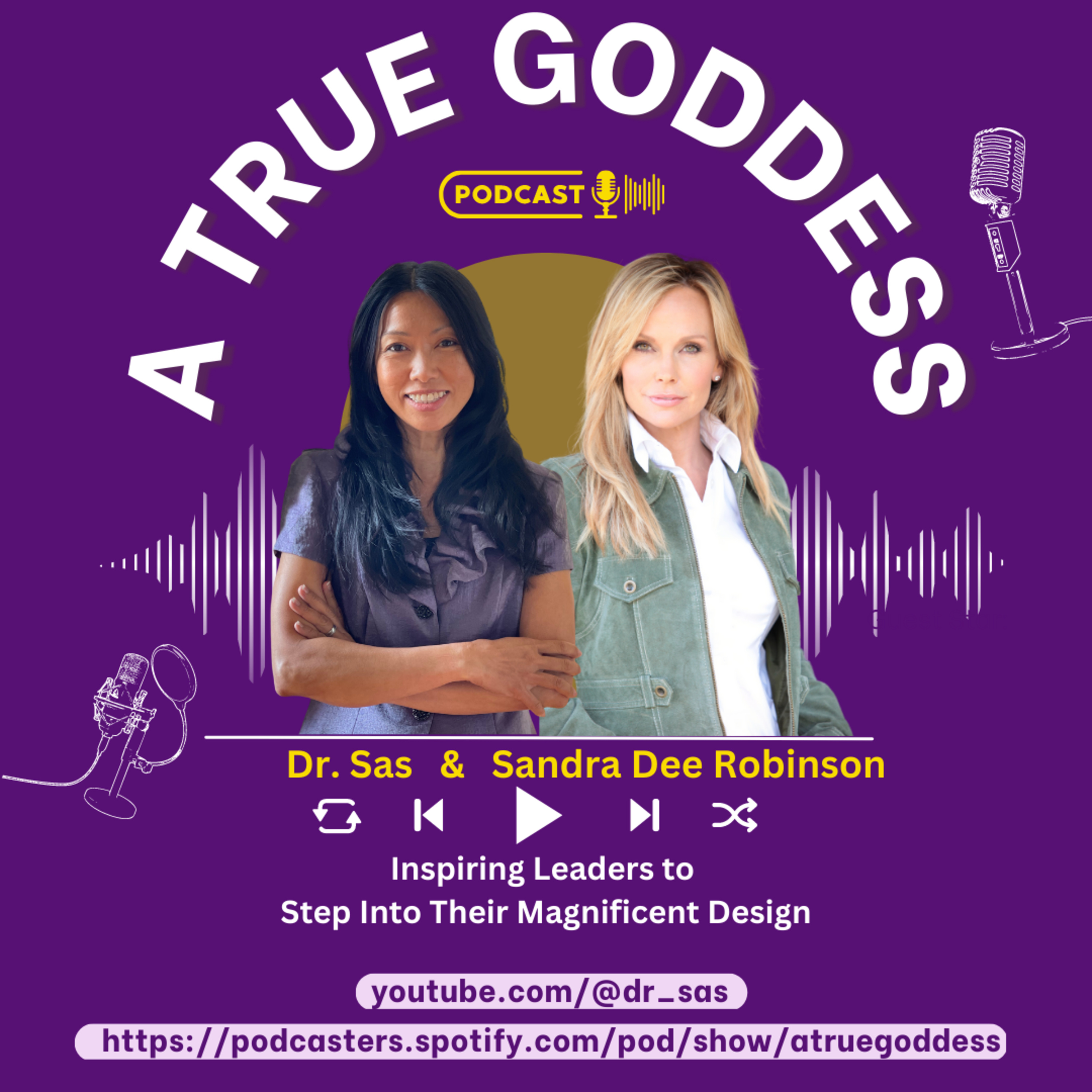 Inspiring Leaders to Step Into Their Magnificent Design with Sandra Dee Robinson episode artwork