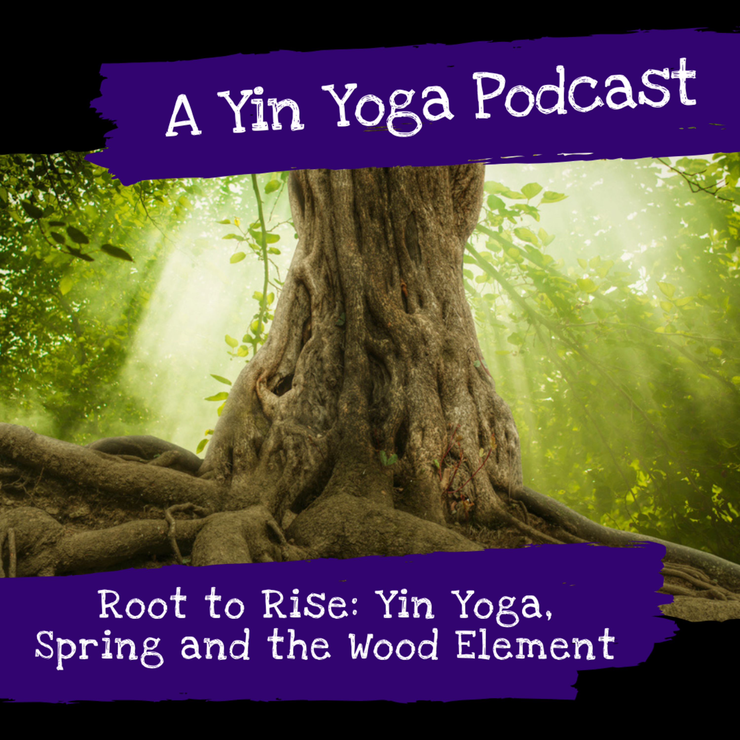 Yin Yoga Podcast