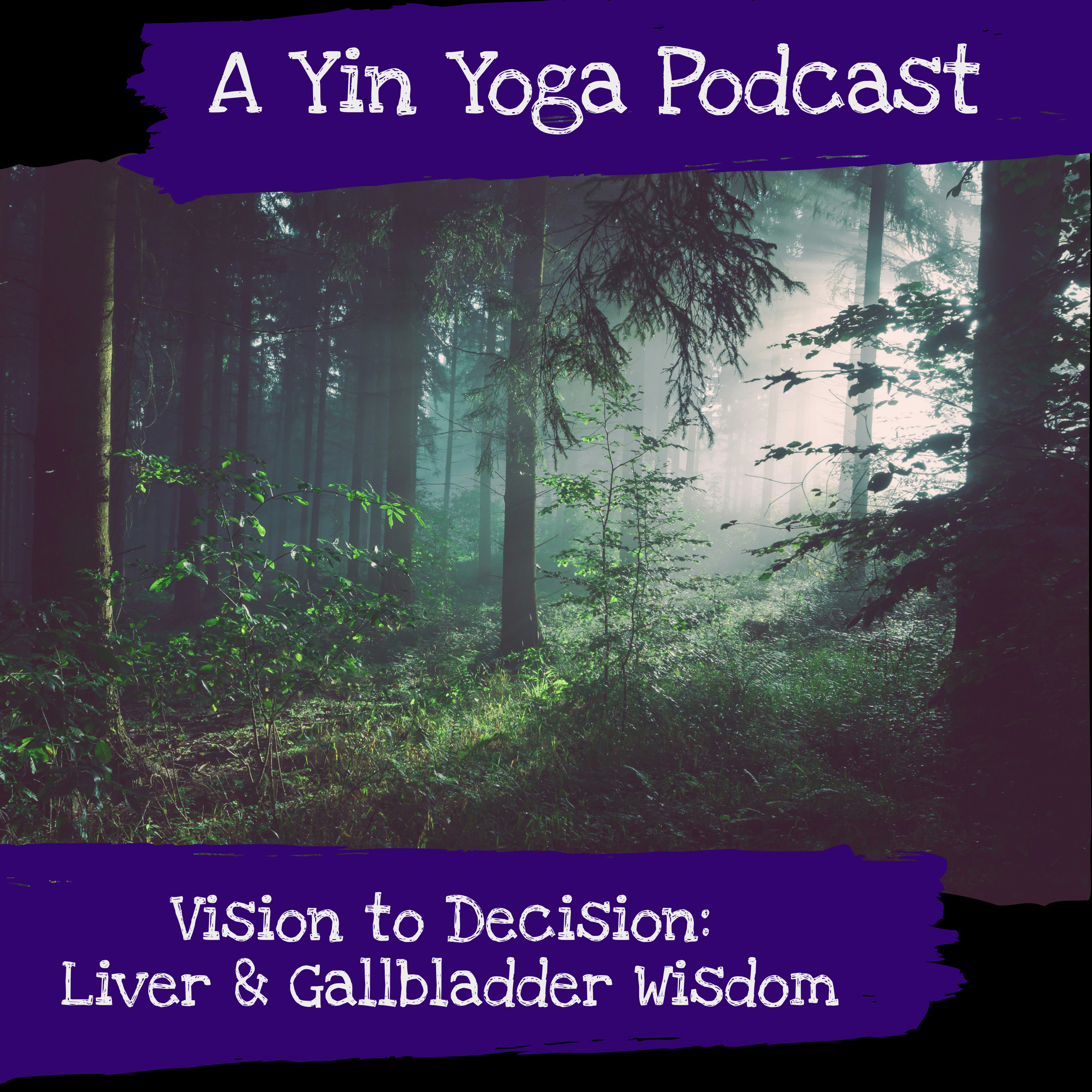 Vision to Decision: Liver & Gallbladder Wisdom