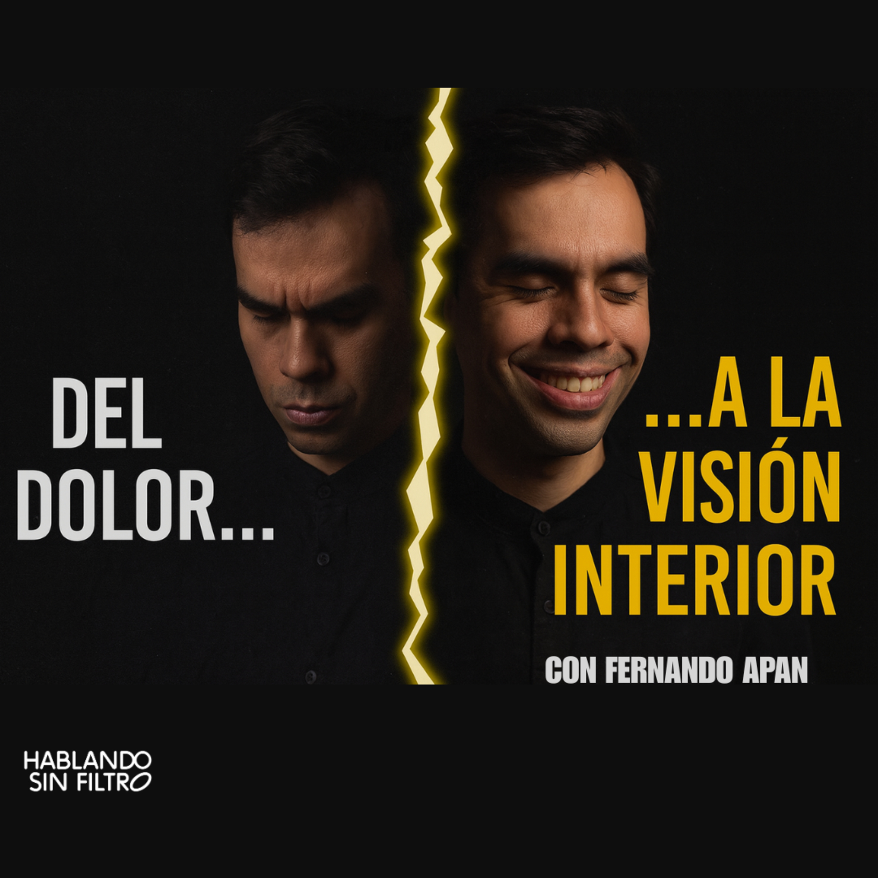 Tocar fondo para despertar: De la depresión a la visión interna E.221 episode artwork