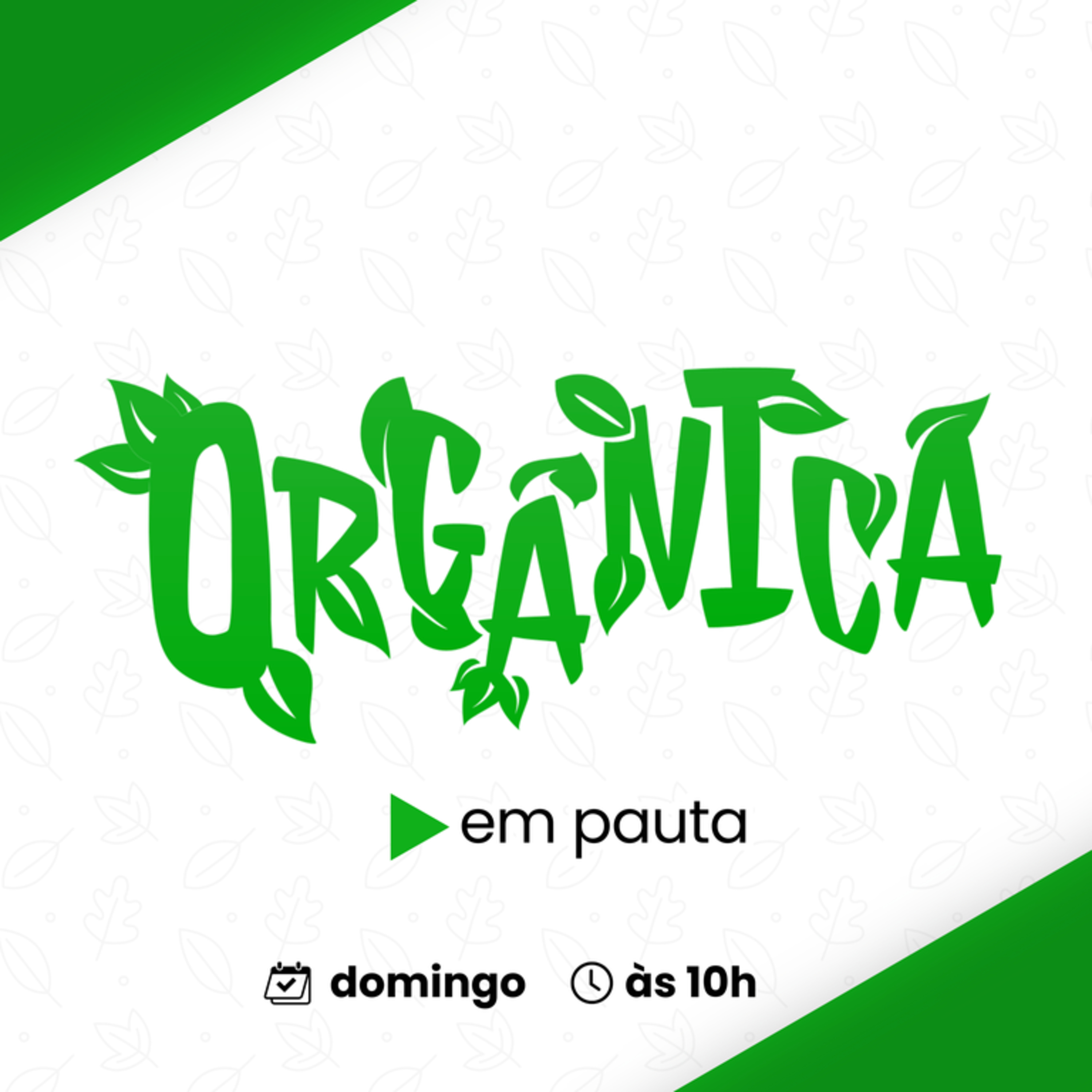 Maranhão participa da COP30 com iniciativas de inovação, formação e pesquisa em sustentabilidade
