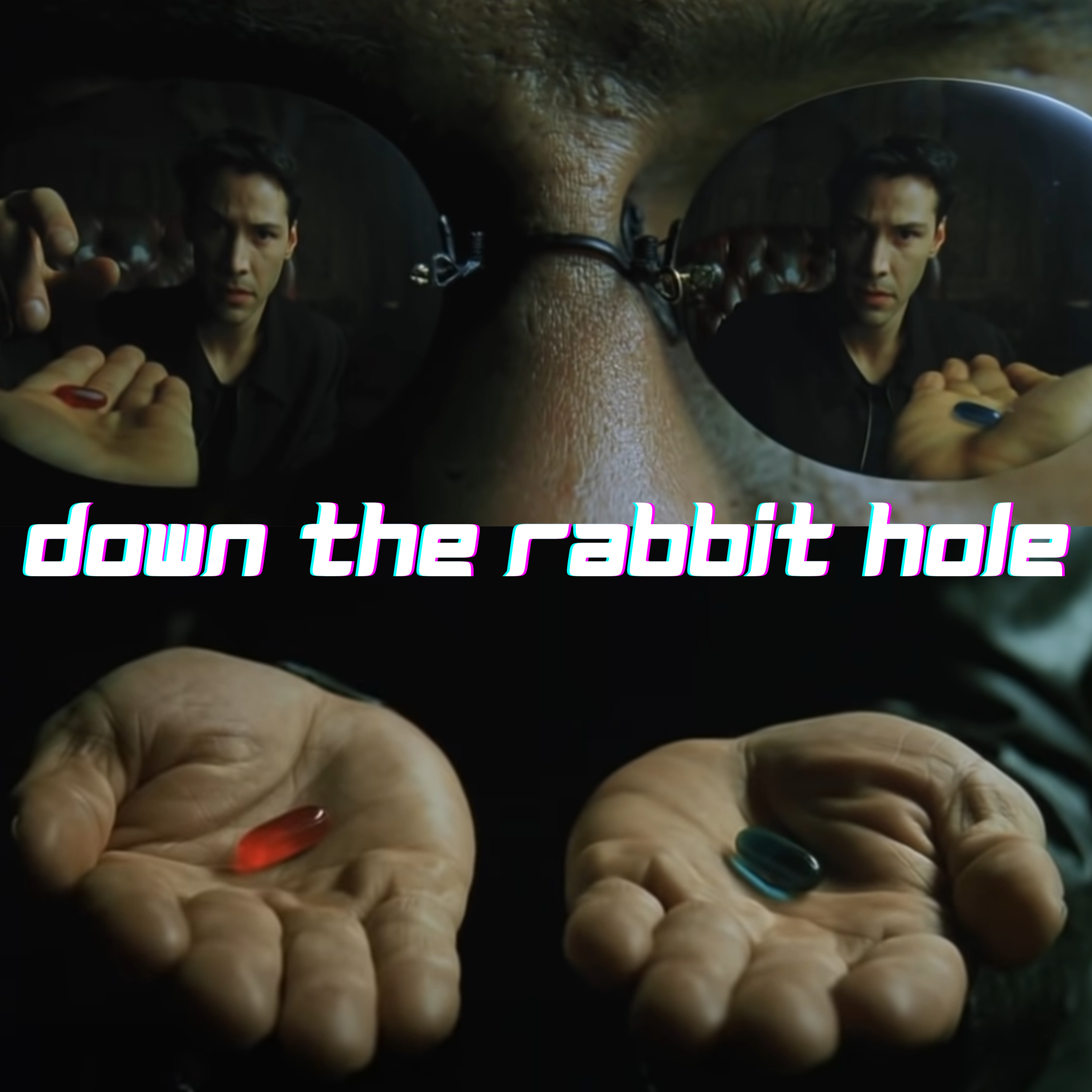 Down The Rabbit Hole | EP155