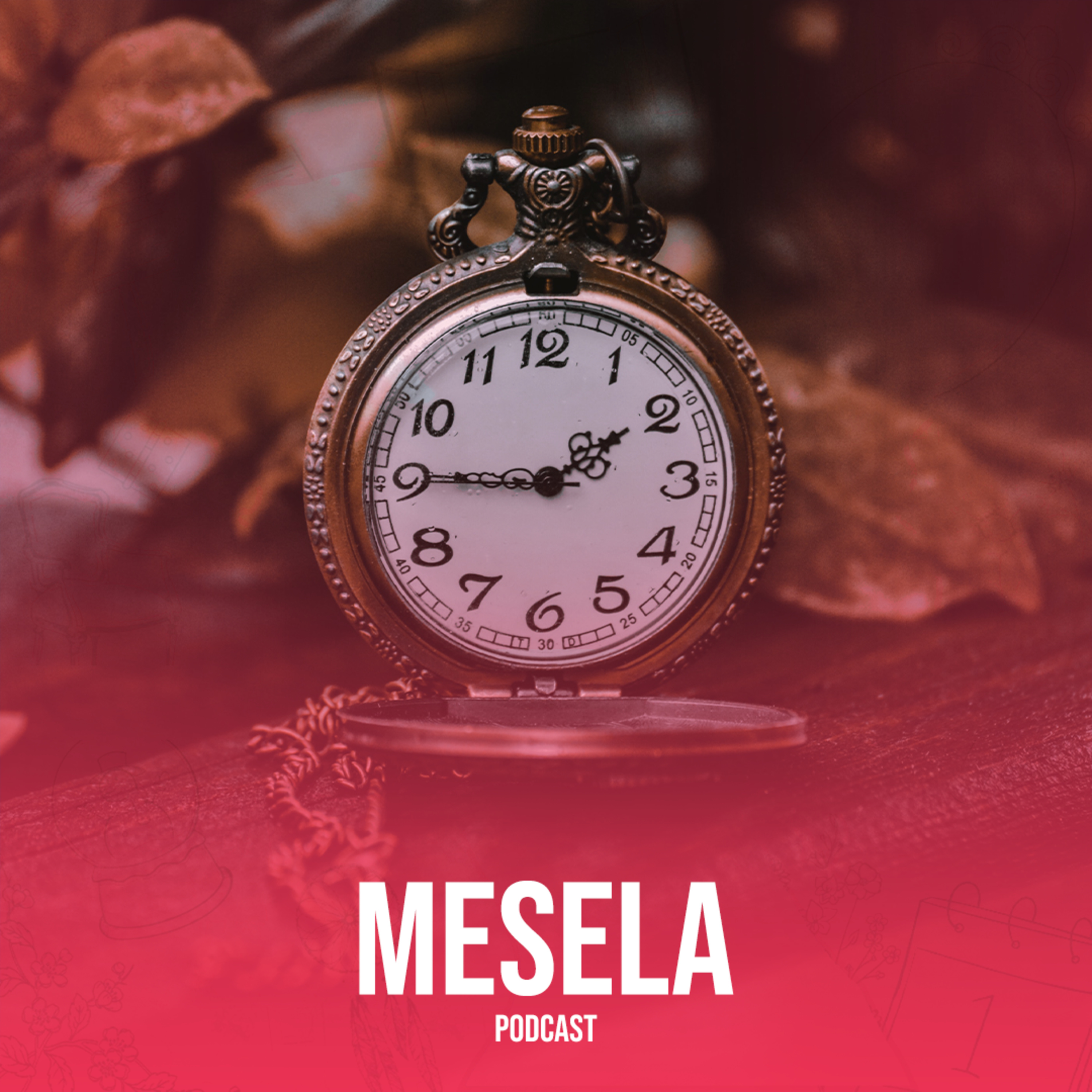 MESELA