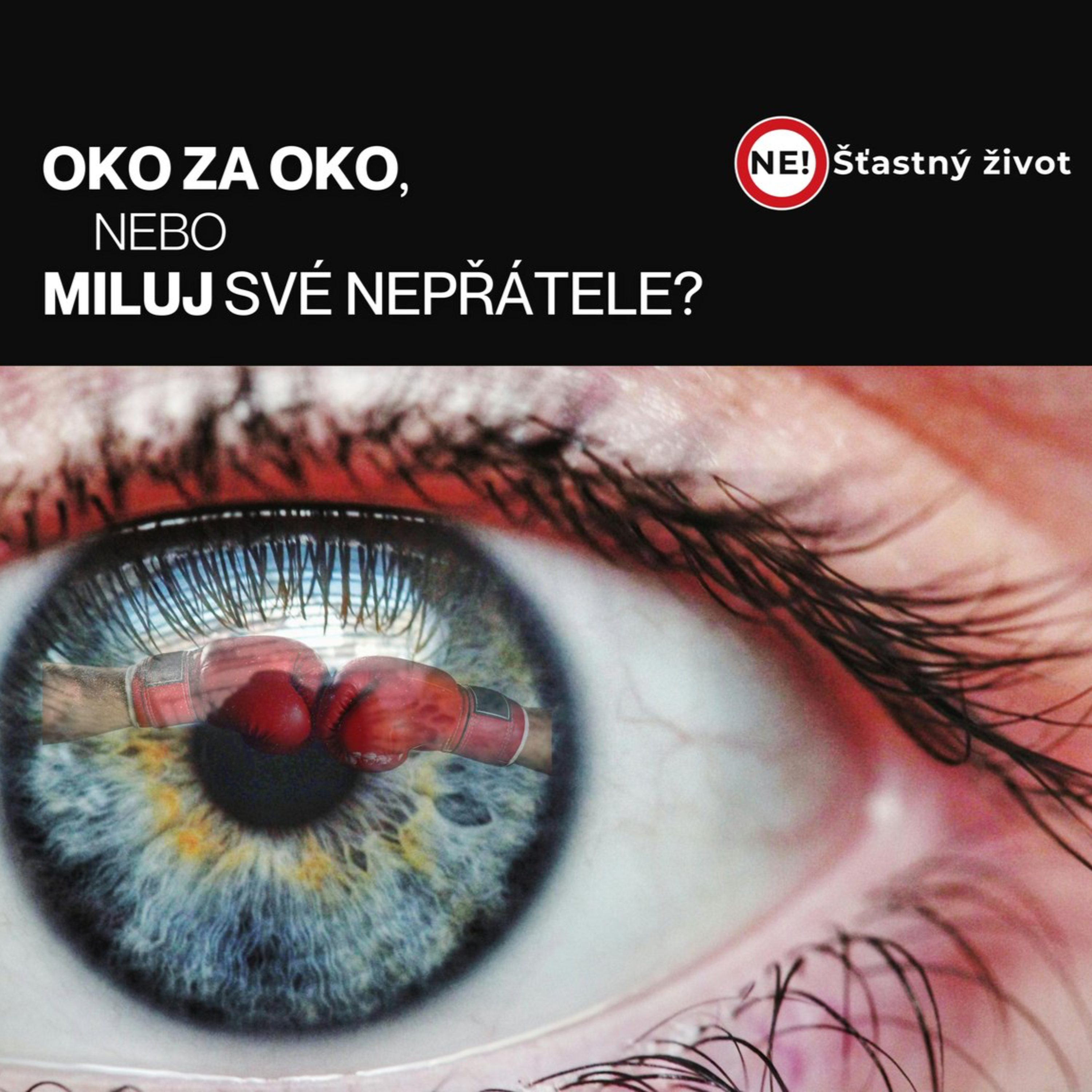 Ne! Šťastný život: 5. část - Oko za oko, nebo miluj své nepřátele? episode artwork