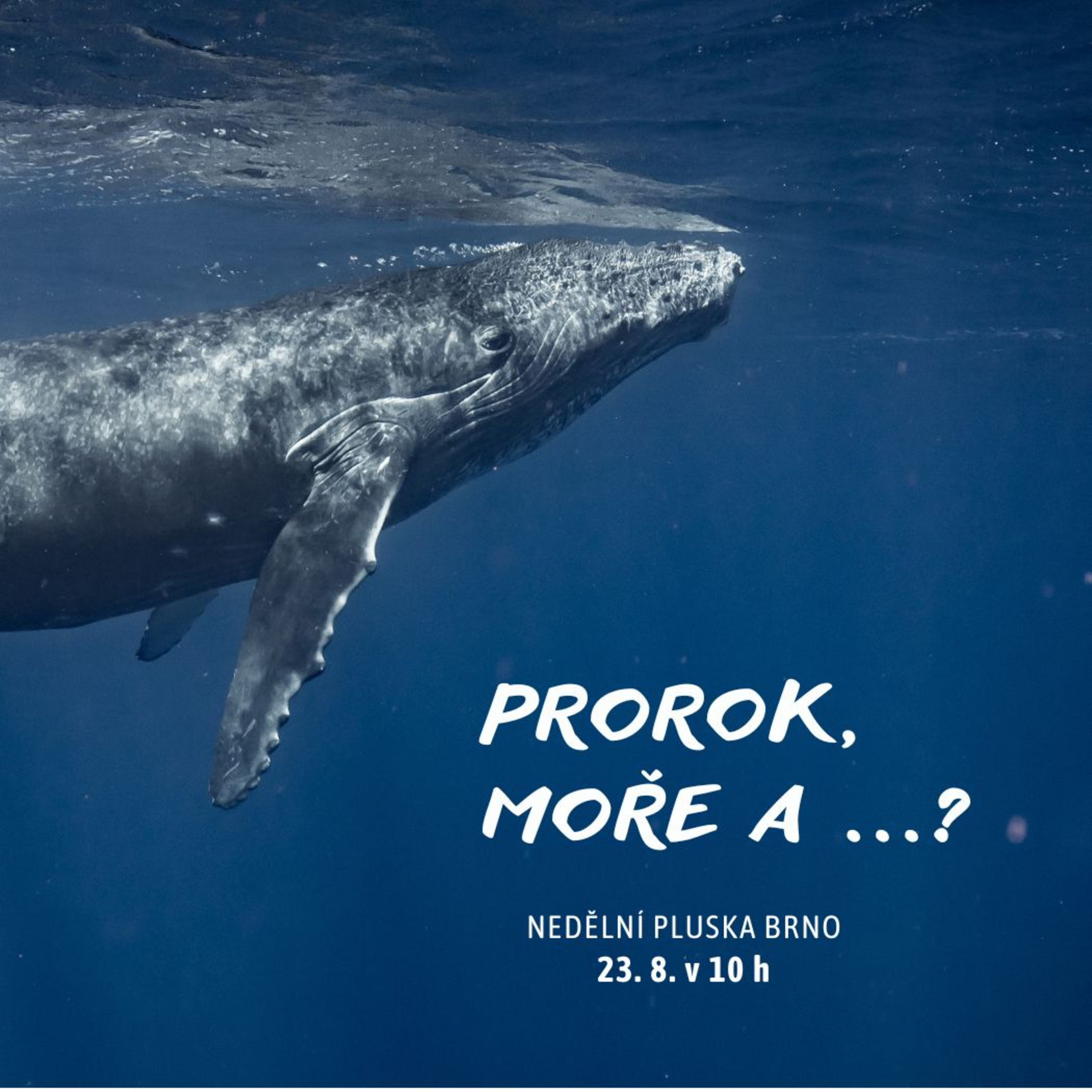 Prorok, moře a ...? episode artwork
