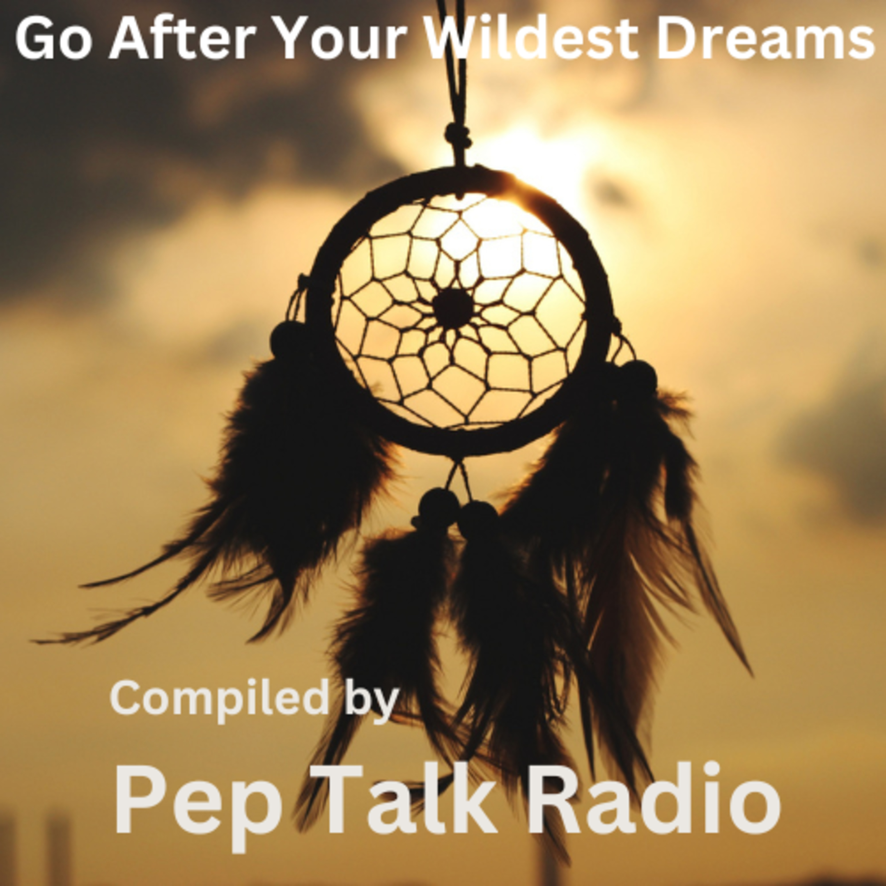 15. Reach for the Stars - Go After Your Wildest Dreams | by Pep Talk Radio episode artwork