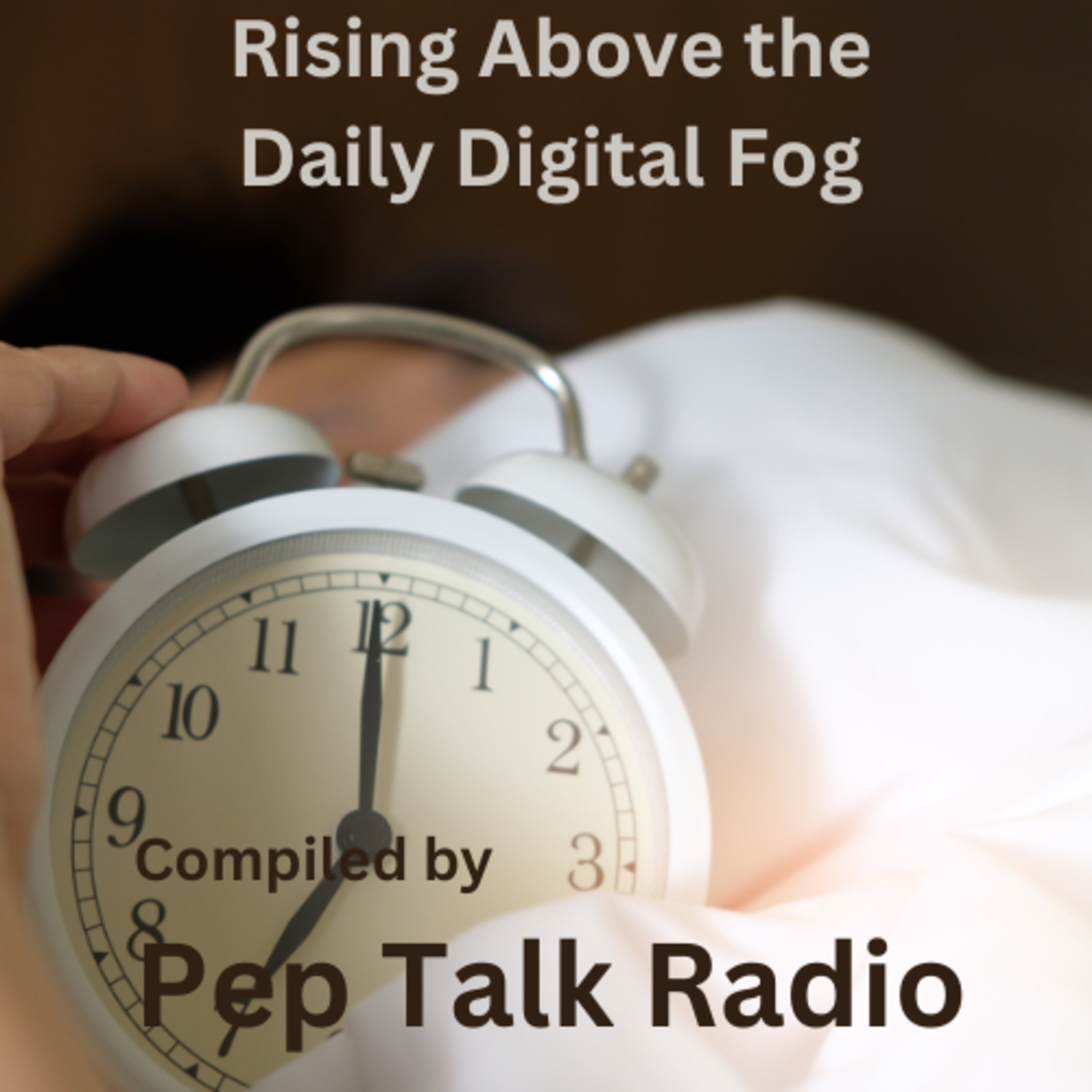 20. Eric Schmidt: Rising Above the Daily Digital Fog | by Pep Talk Radio episode artwork