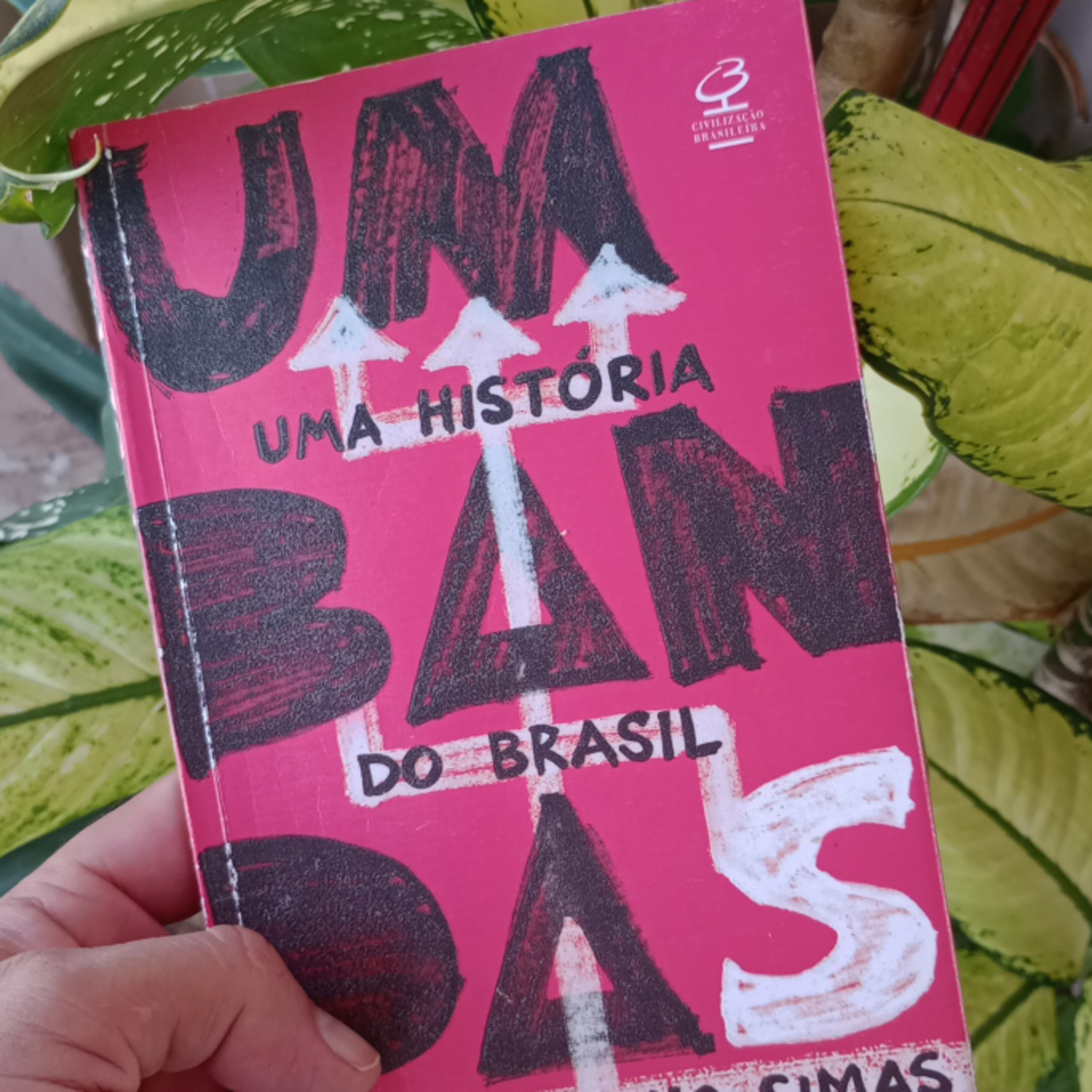 Os mestres do Catimbó  episode artwork